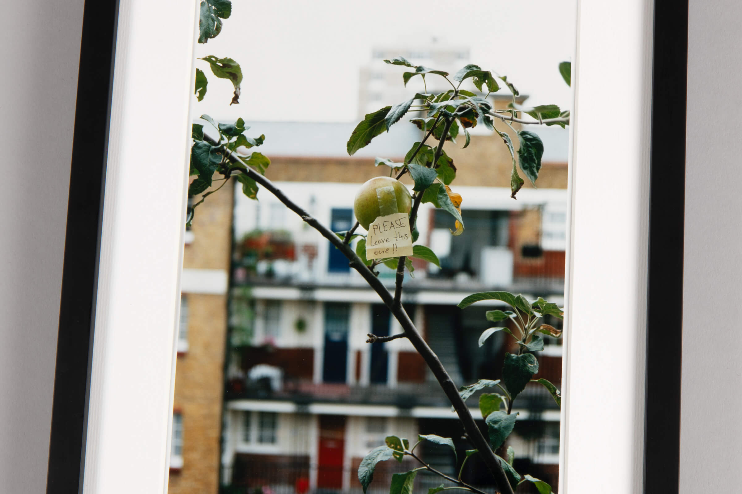 Wolfgang Tillmans – PLEASE leave this one