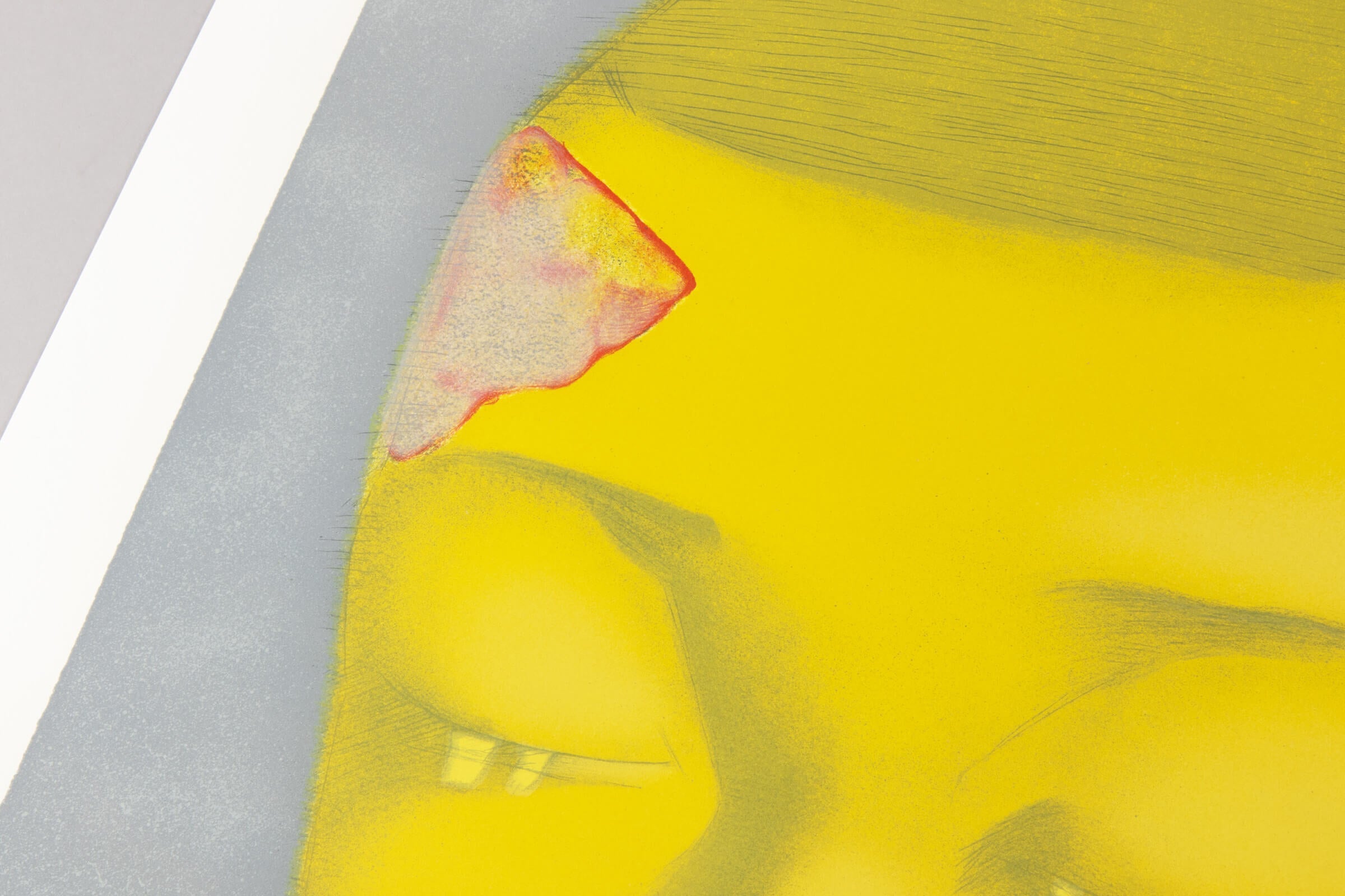 Zhang Xiaogang - Fantasy