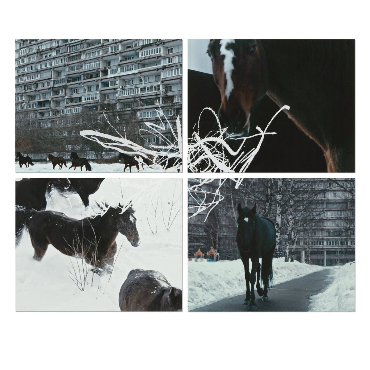 Anne Imhof prints and editions