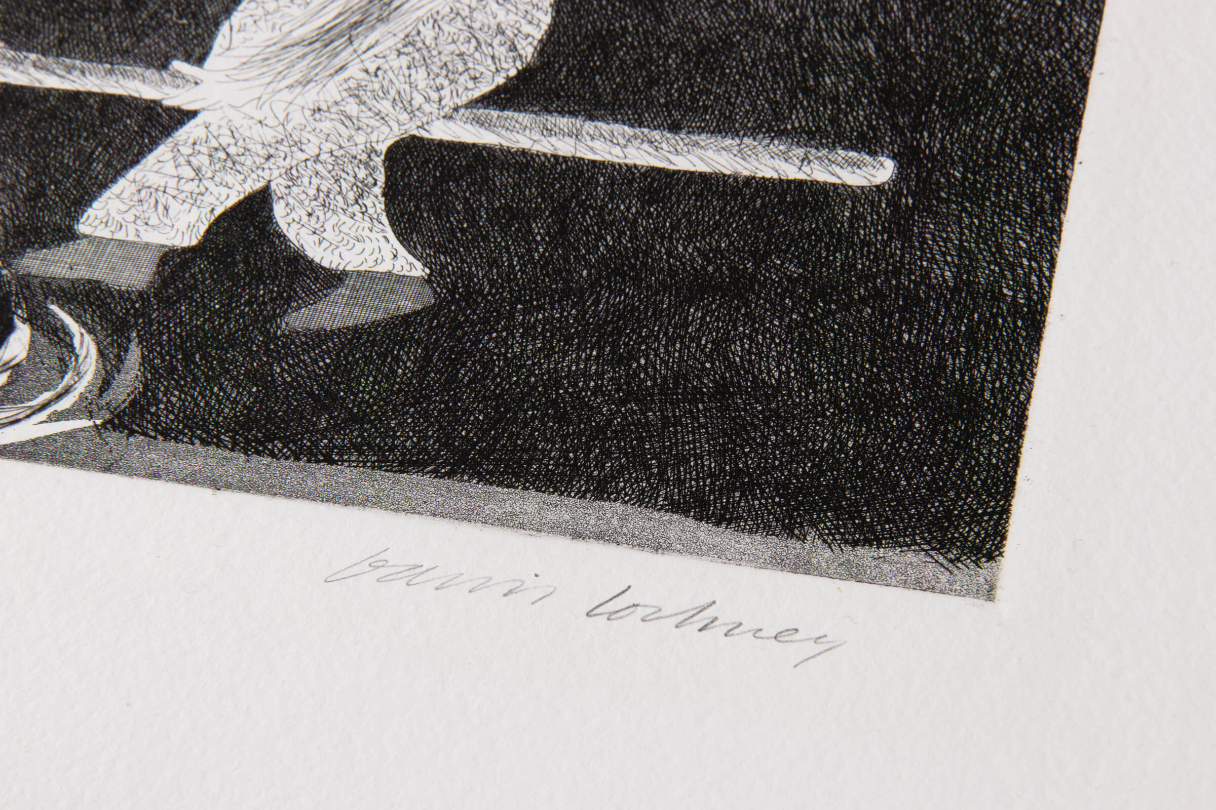 David Hockney - Riding Around on a Cooking Spoon