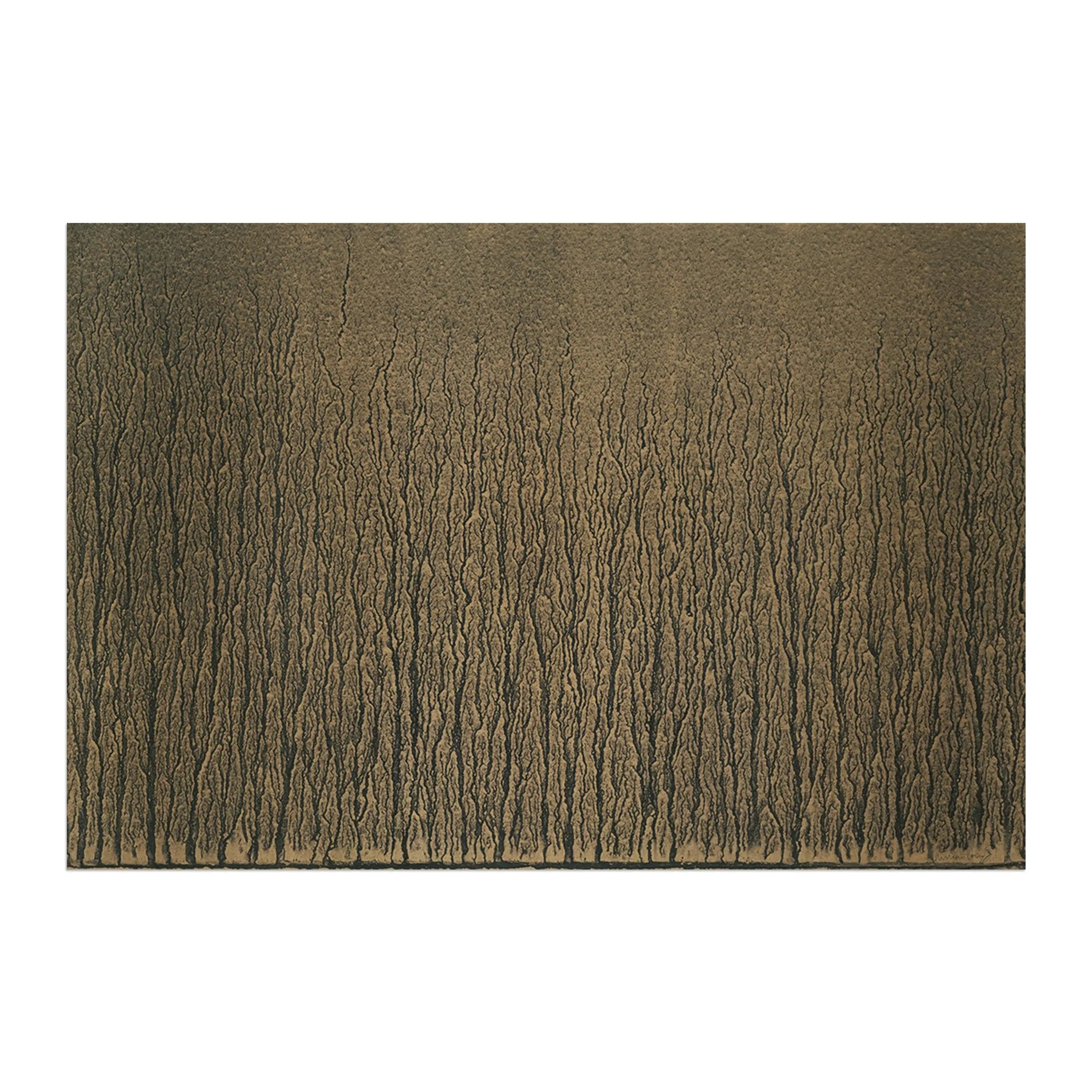 Richard Long - River Avon Mud Drawings (1989)