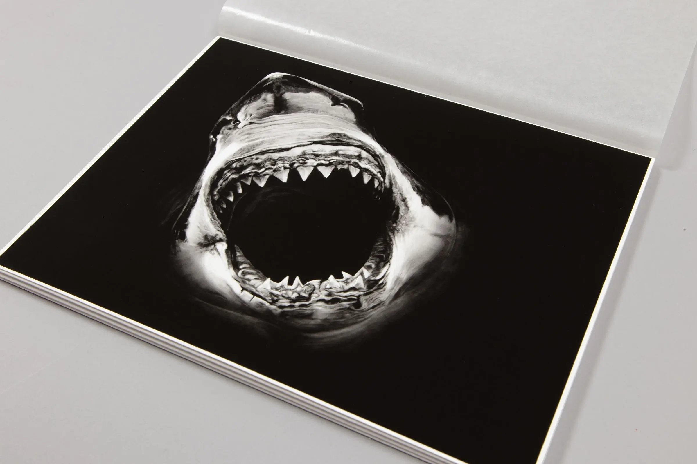 Robert Longo – Essentials