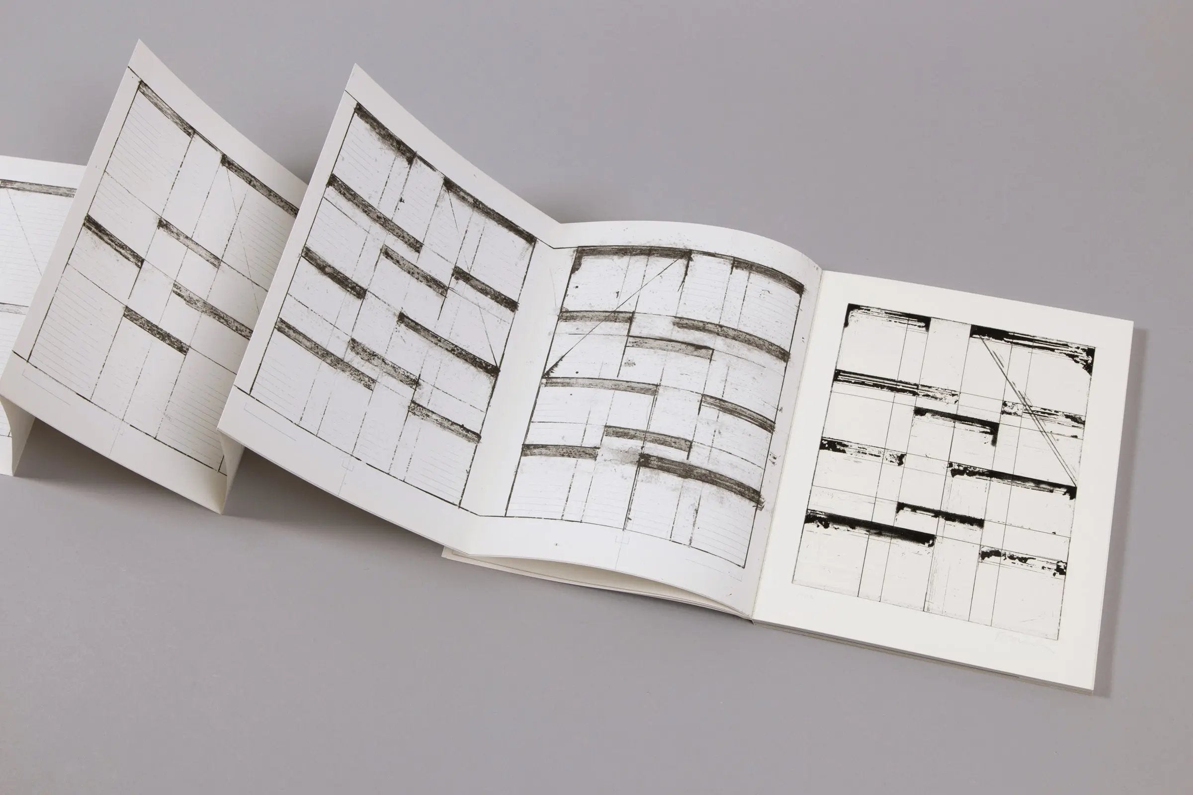 Brice Marden - Etching for Parkett