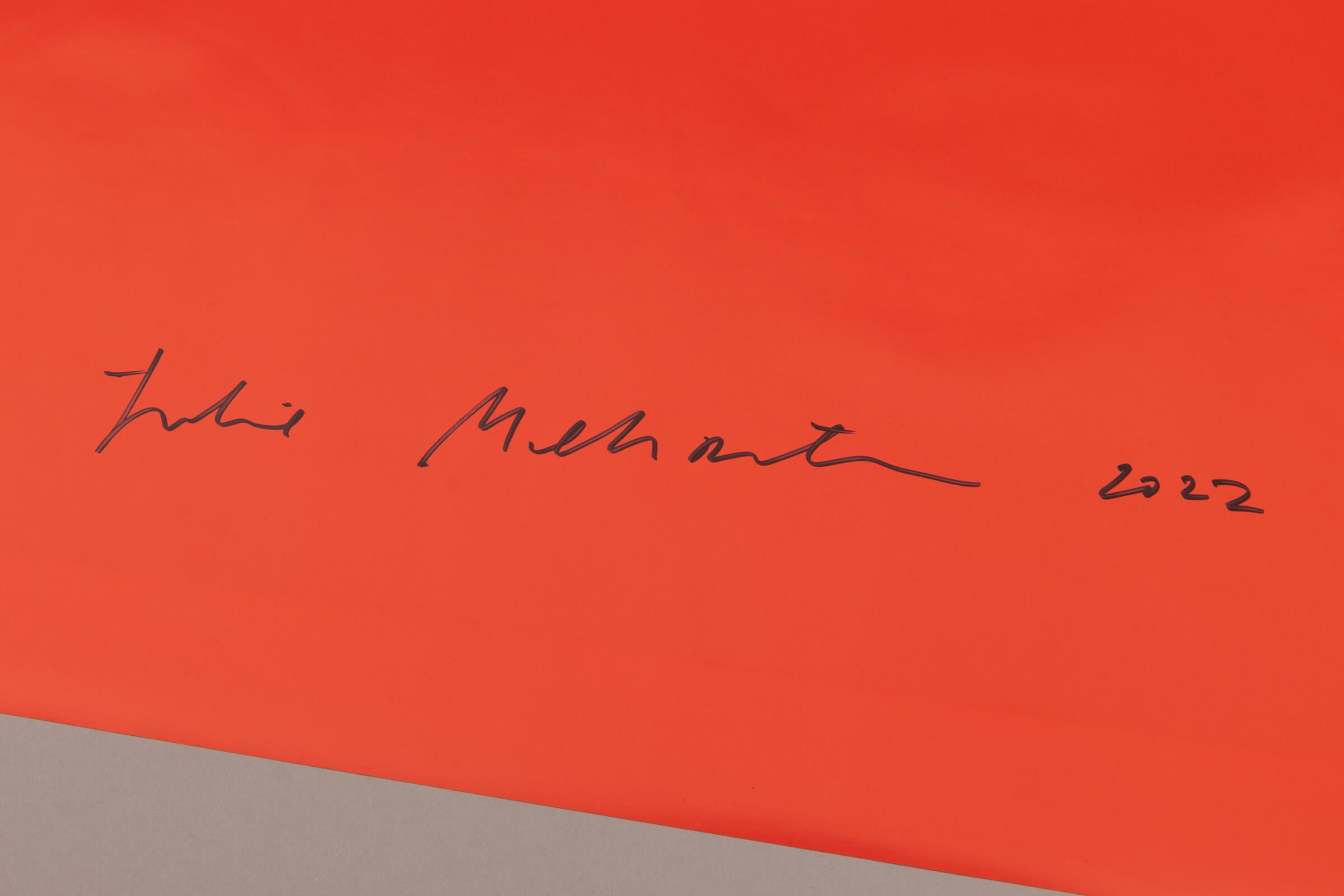 Julie Mehretu – Among the Multitude III