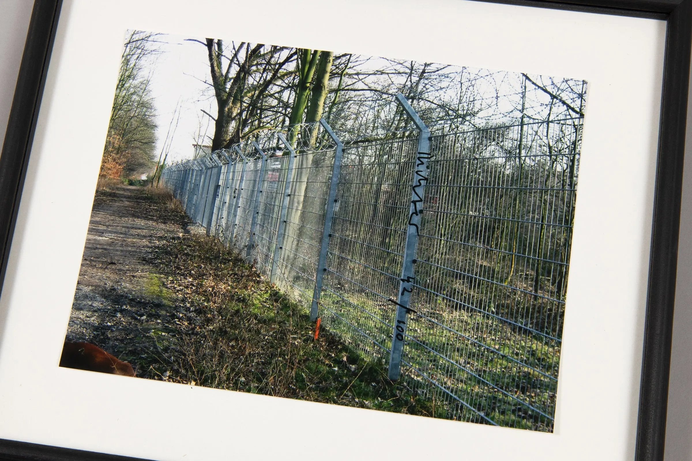 Gerhard Richter - Zaun