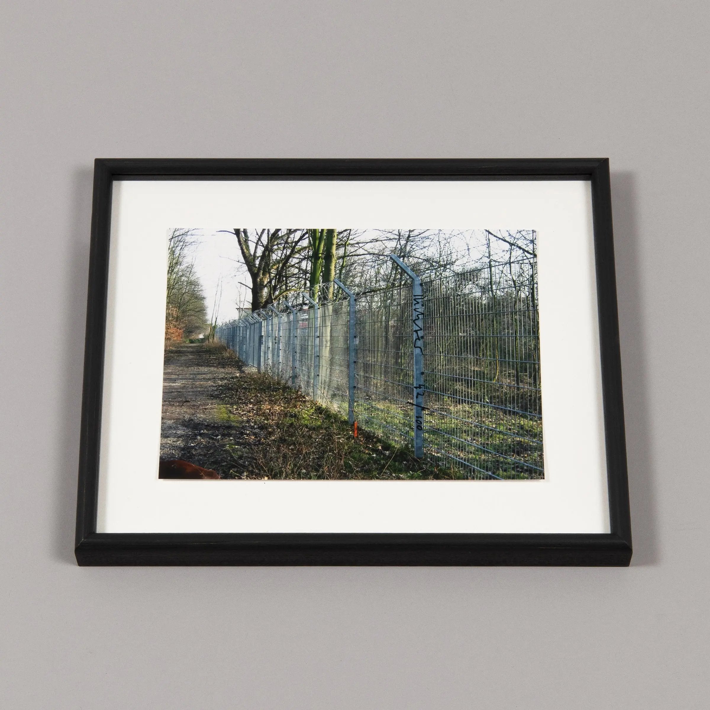 Gerhard Richter - Zaun