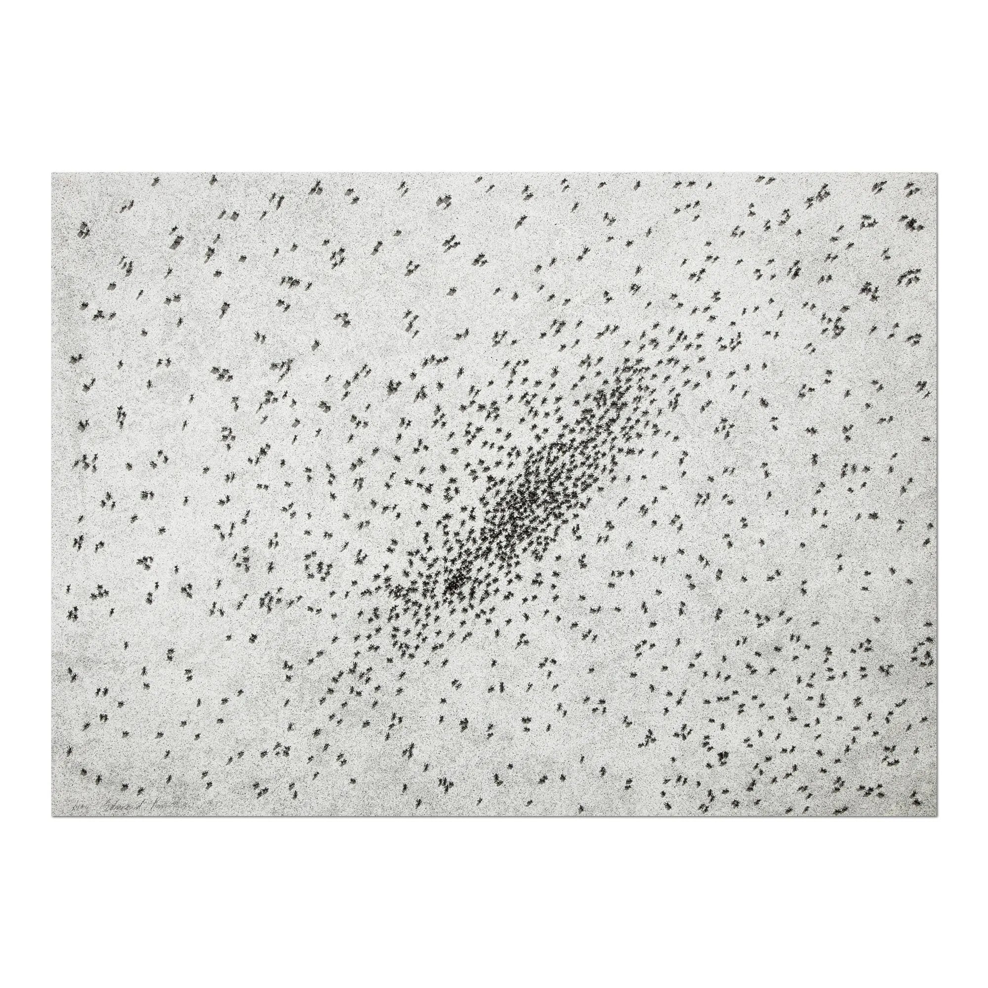 Ed Ruscha - Insect Slant (Ants)