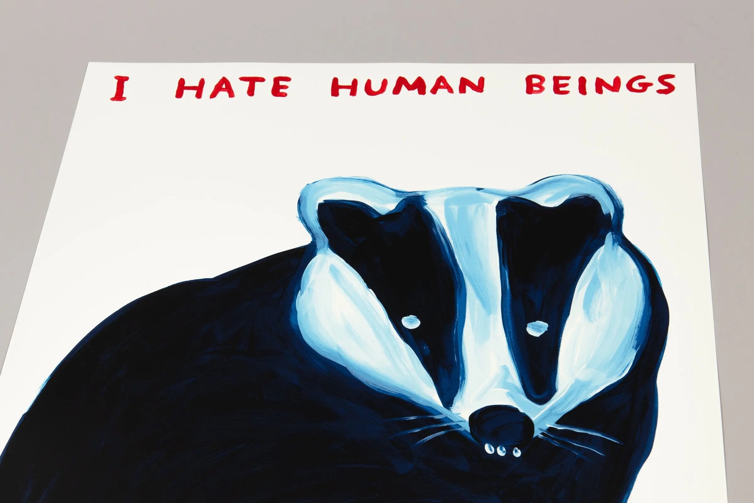 David Shrigley - I Hate Human Beings