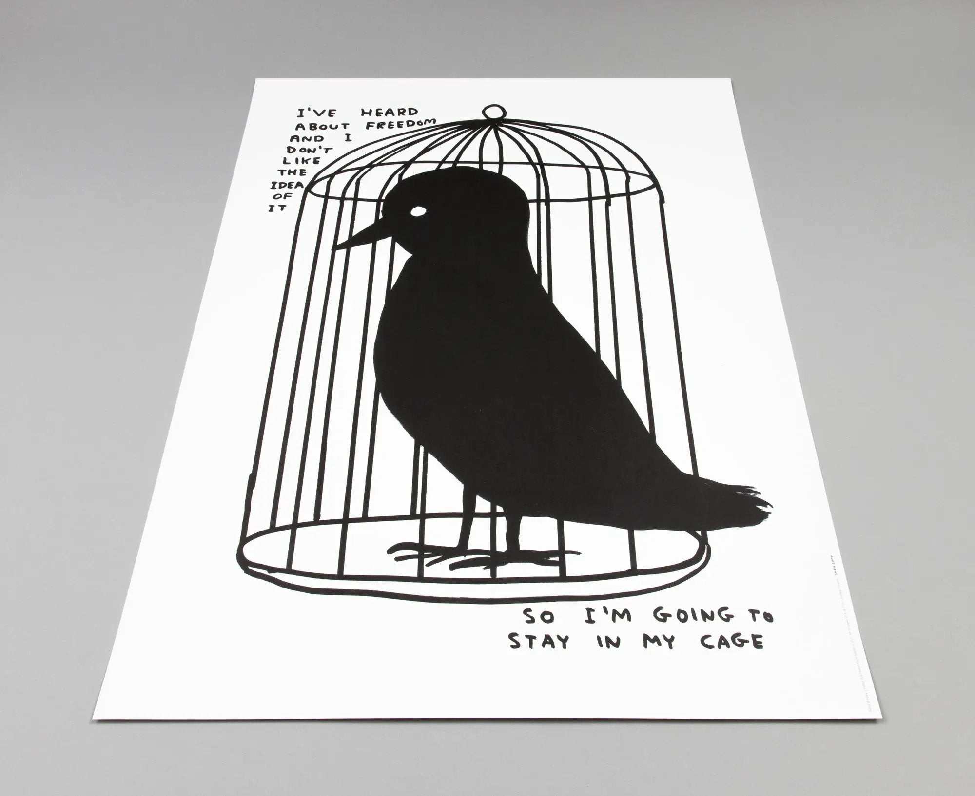 David Shrigley - I've Heard About Freedom