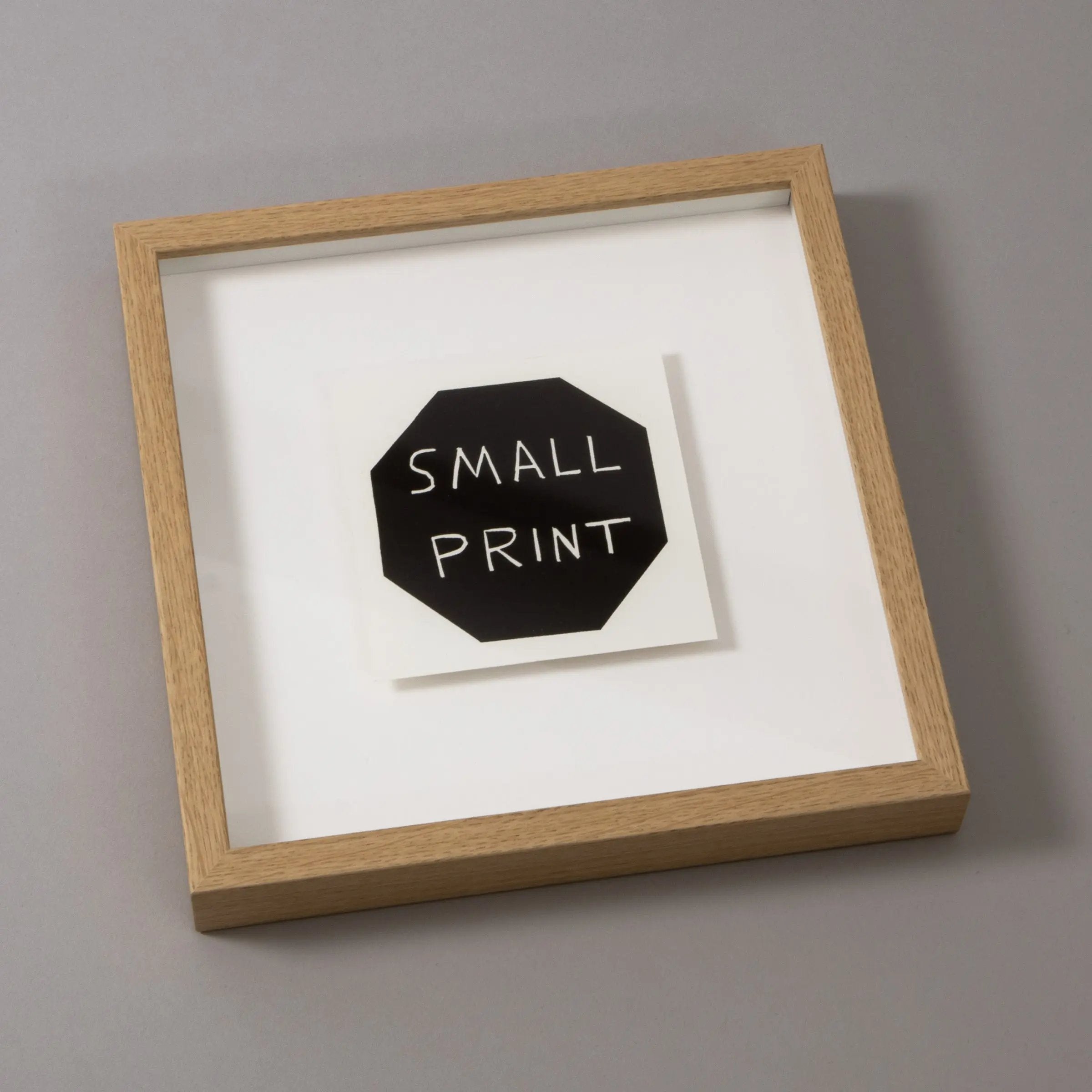 David Shrigley - Small Print