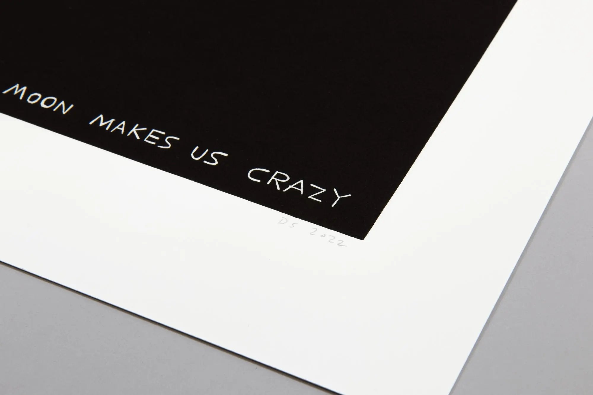 David Shrigley - The Moon Makes Us Crazy