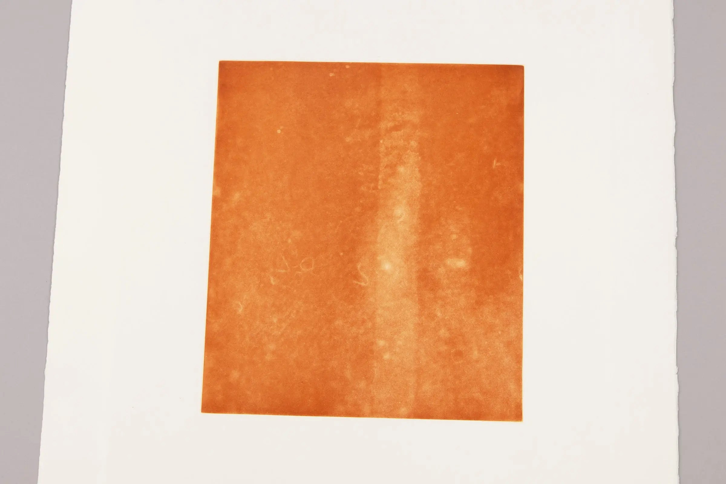 Rosemarie Trockel - Für Freunde und Förderer IV and V