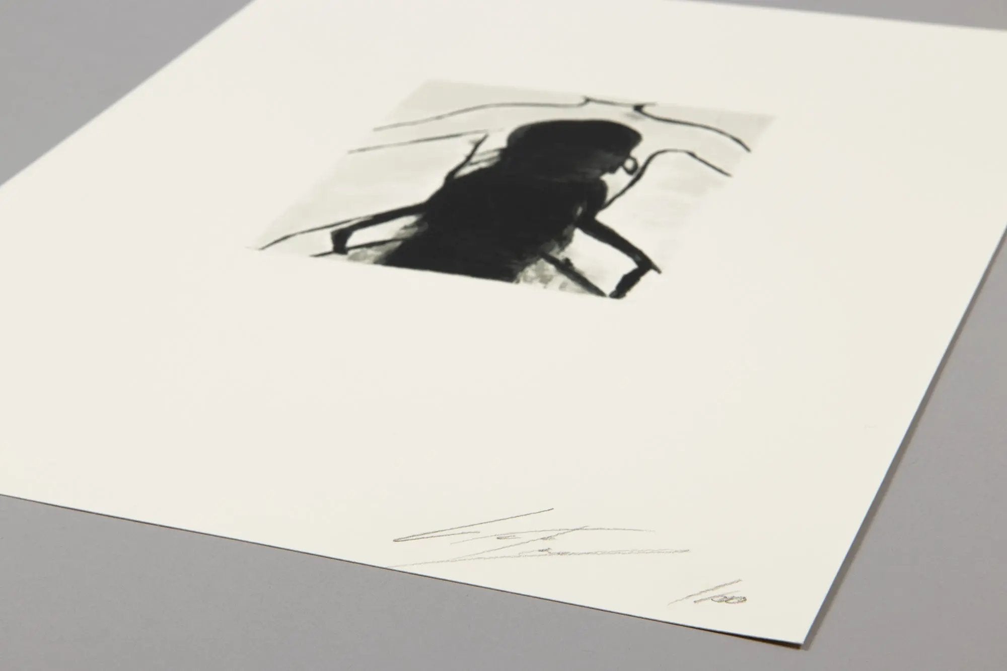 Luc Tuymans - Superstition