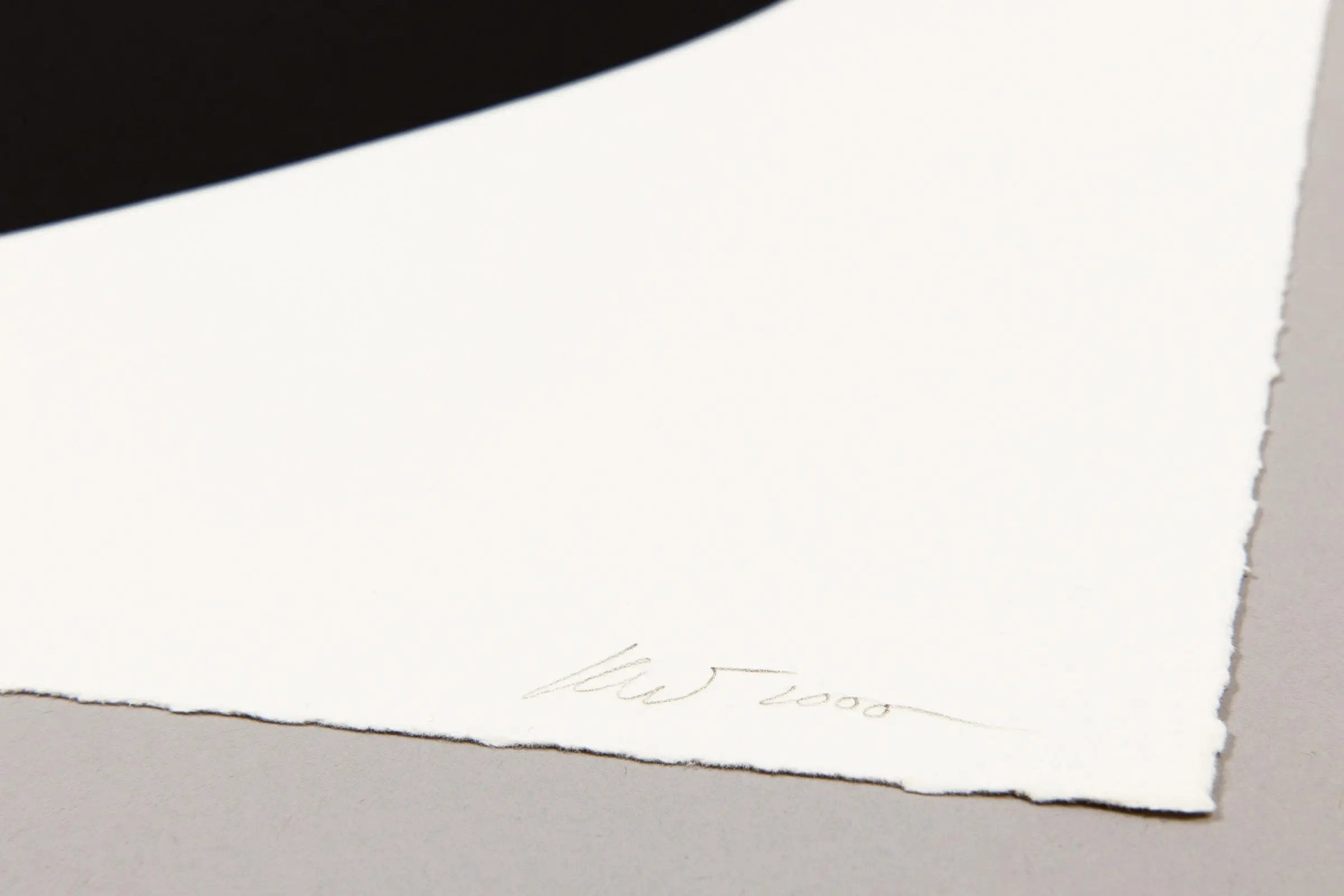 Kara Walker - Boo-Hoo