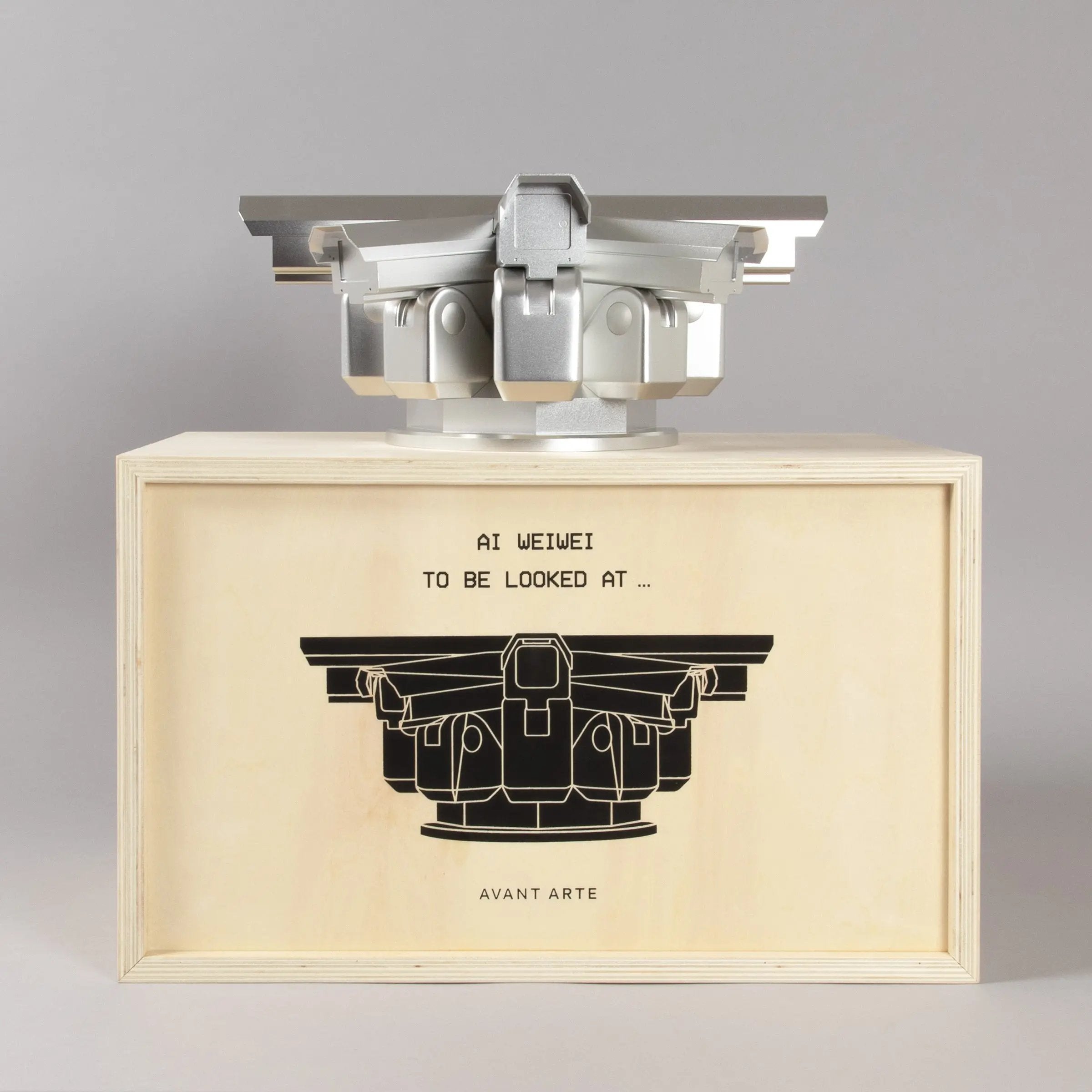 Ai Weiwei – To Be Looked At…