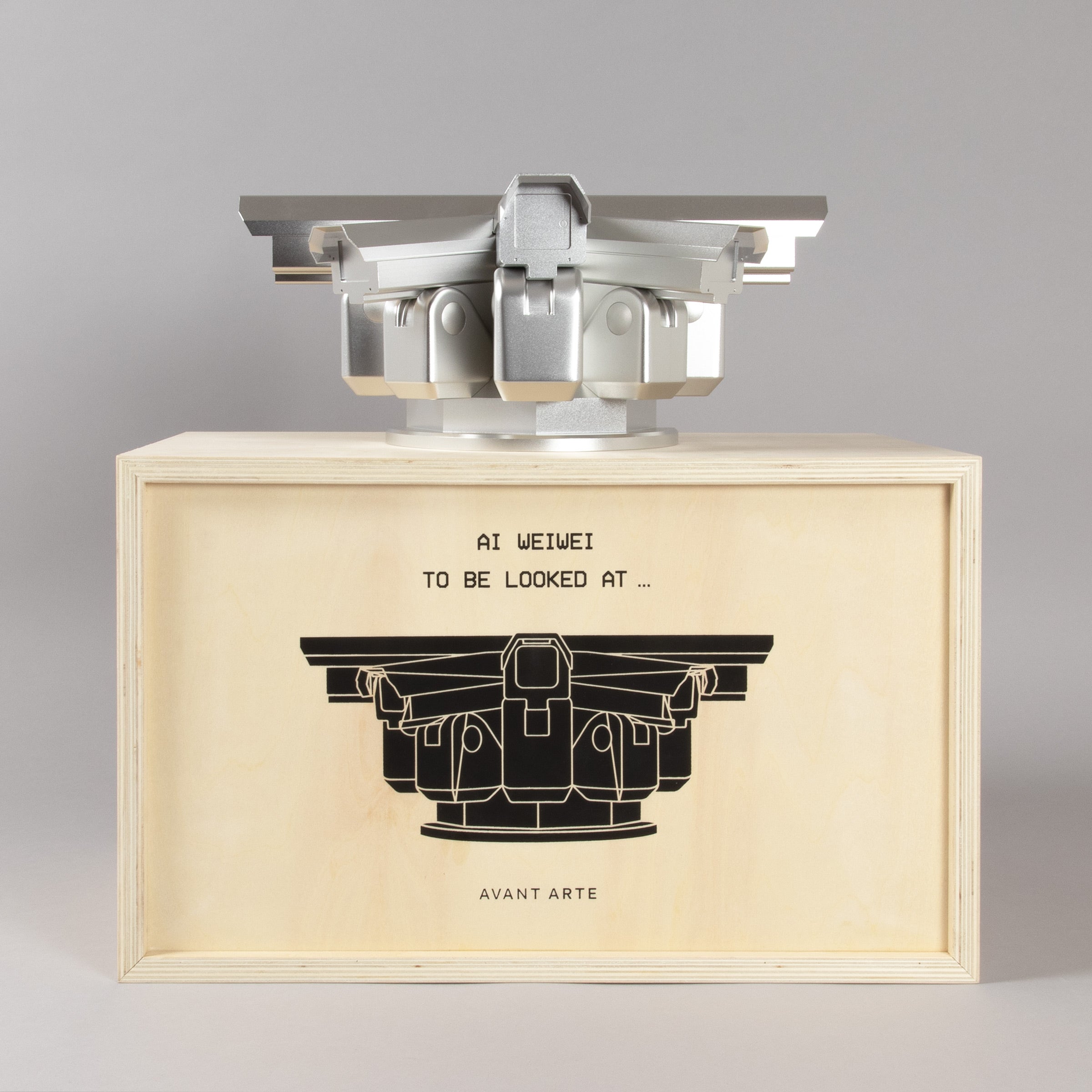 Ai Weiwei – To Be Looked At…