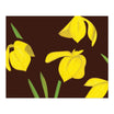 Alex Katz – Yellow Flags on Brown