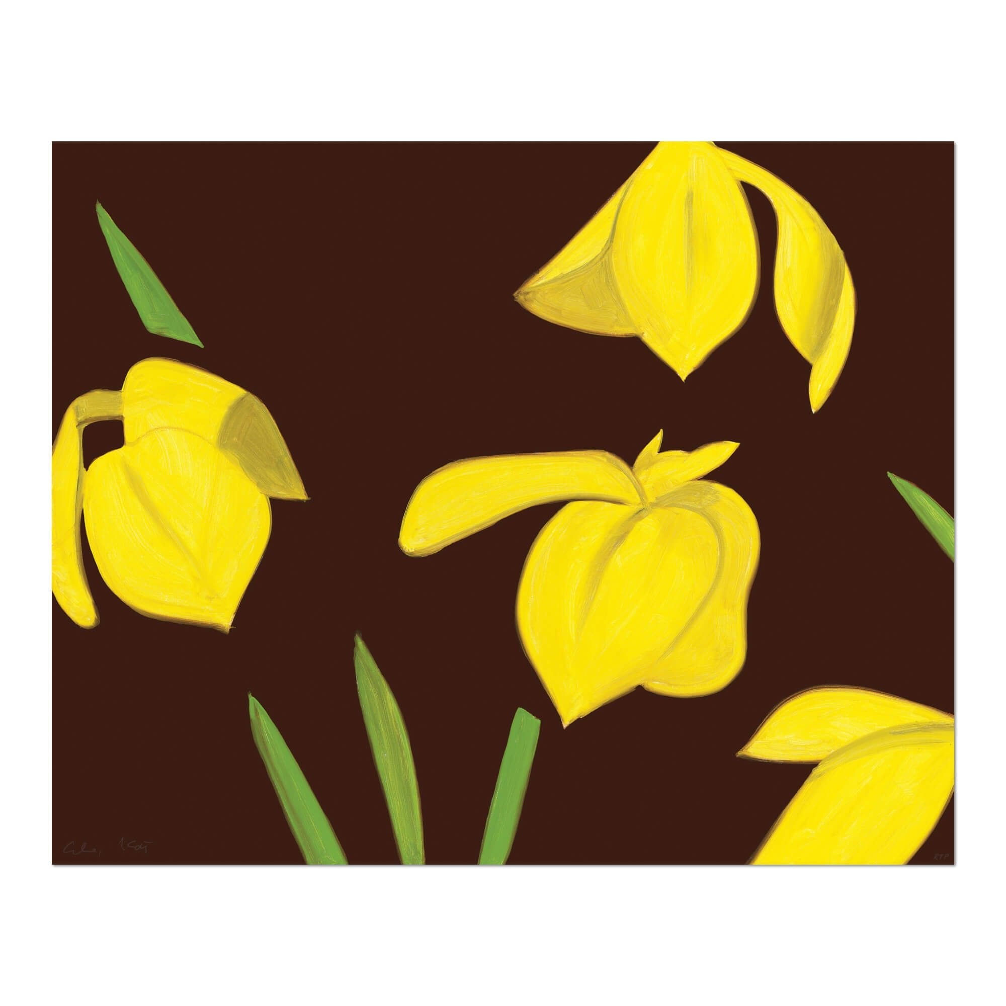 Alex Katz – Yellow Flags on Brown