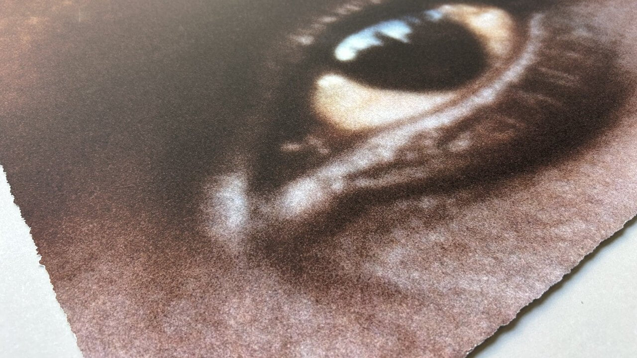 Alfredo Jaar – The Eyes of Gutete Emerita