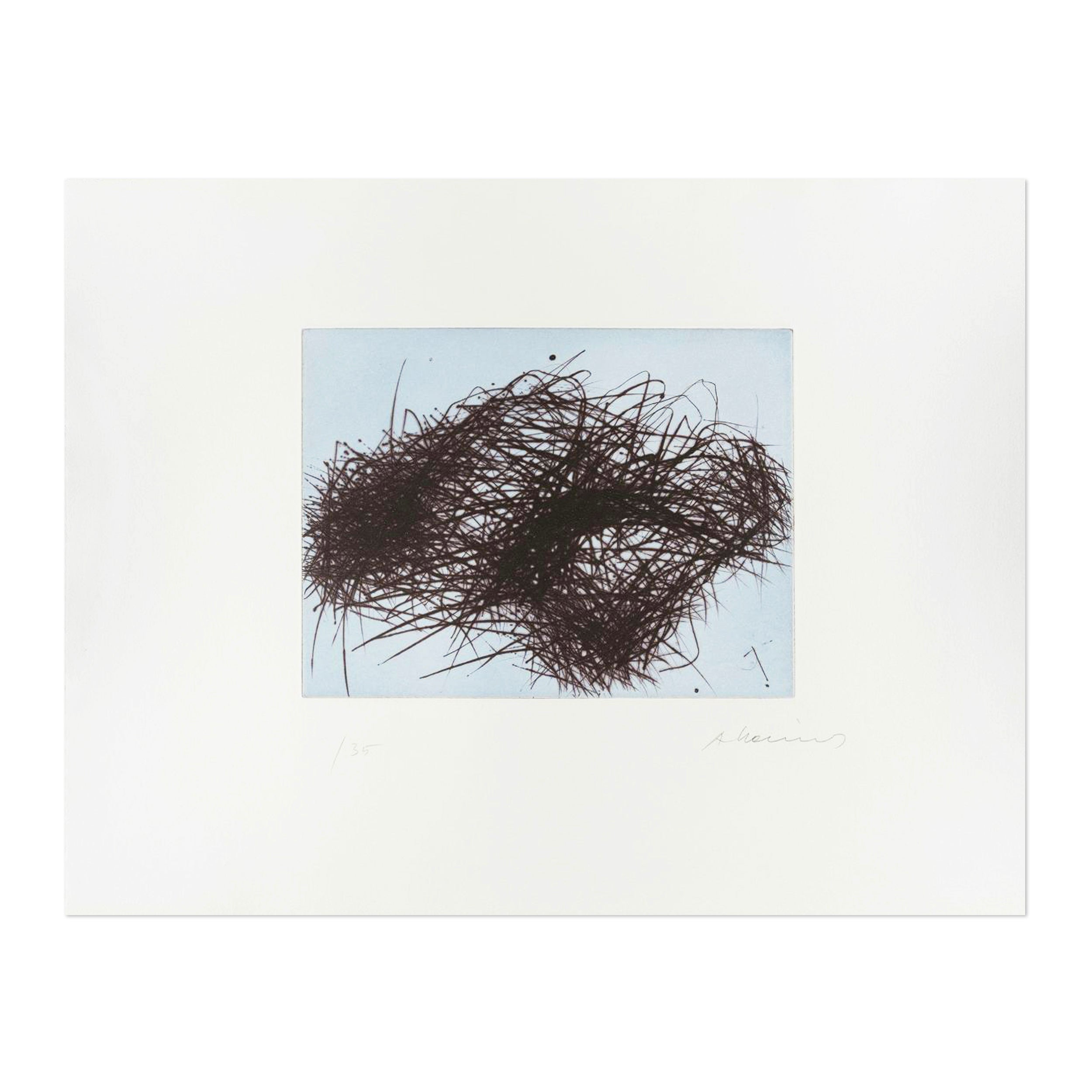 Arnulf Rainer - Drahtwolke