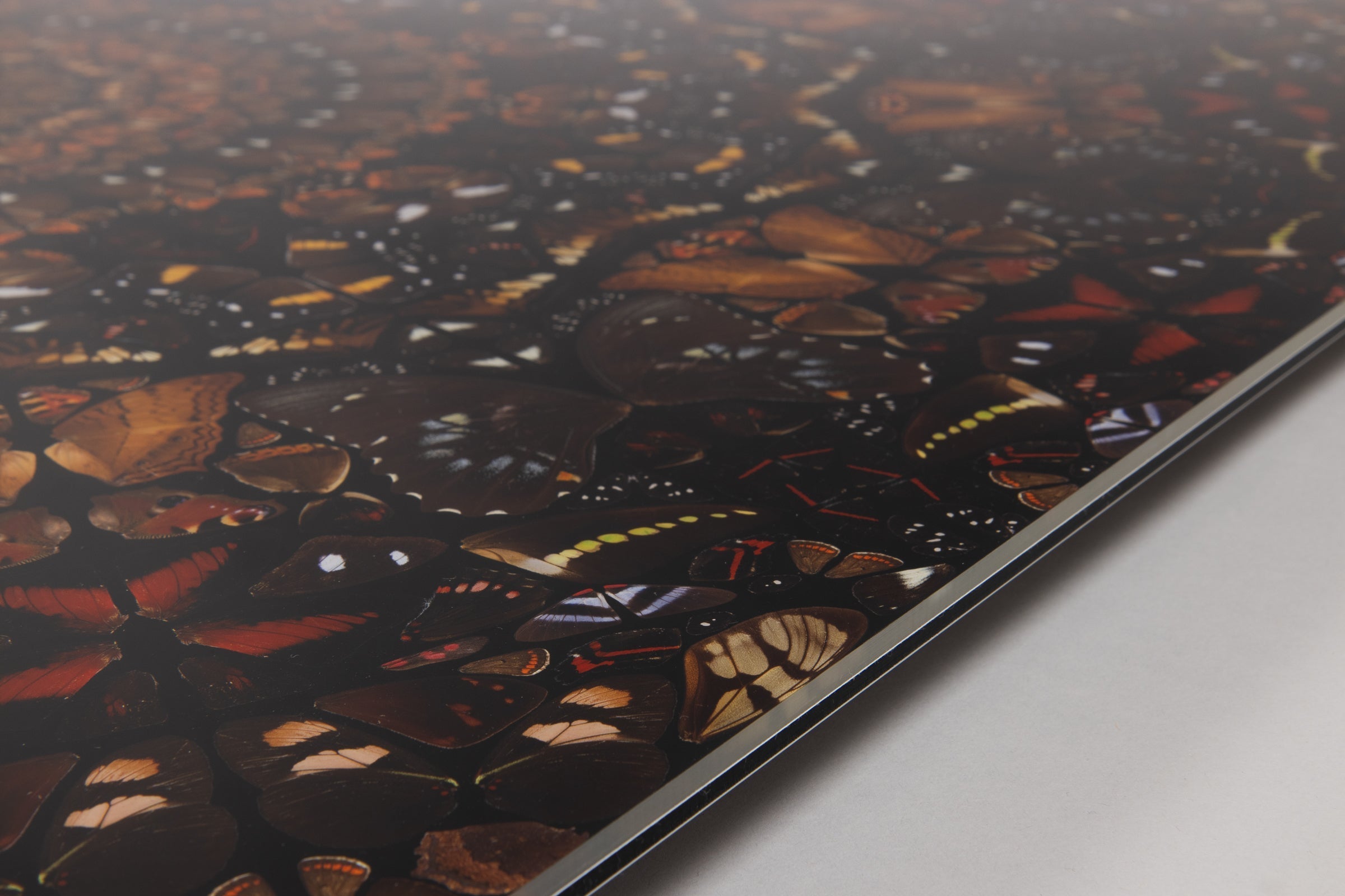 Damien Hirst - Earth (from The Elements)