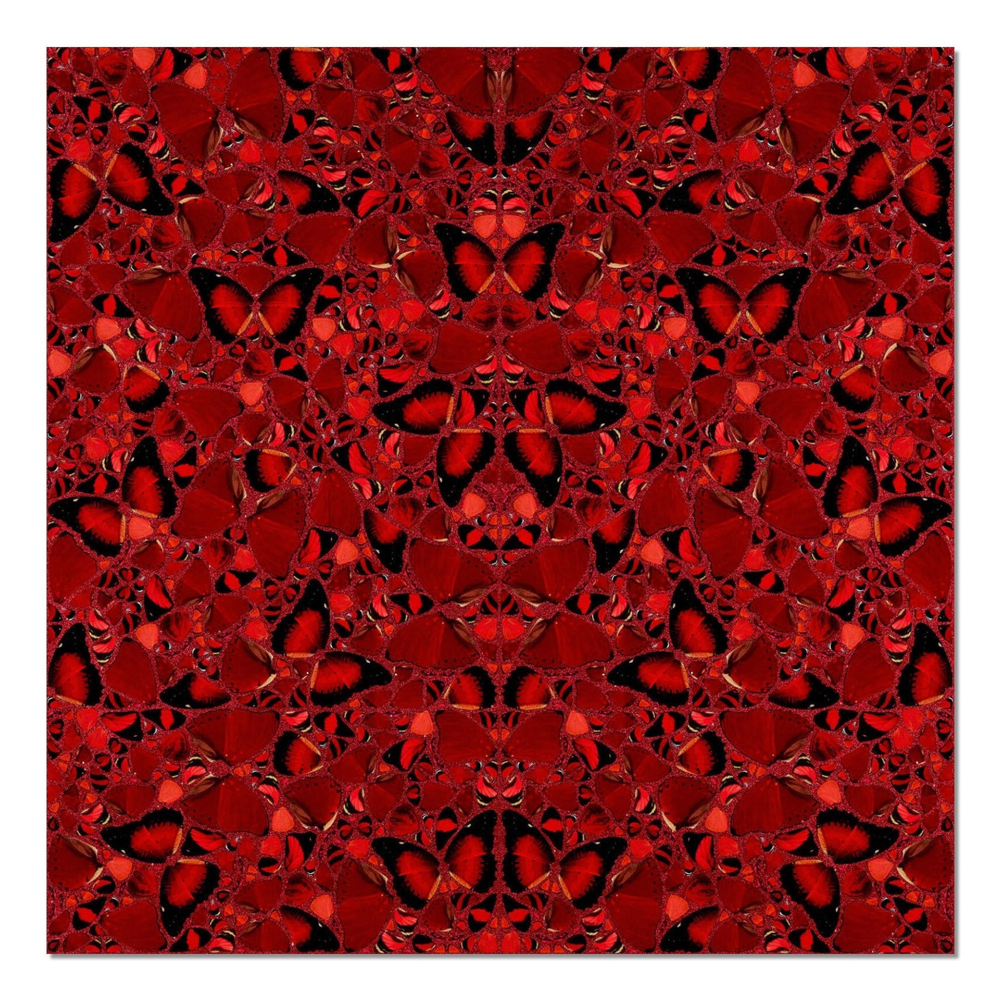Damien Hirst – Theodora (H10-3) | Butterfly Print