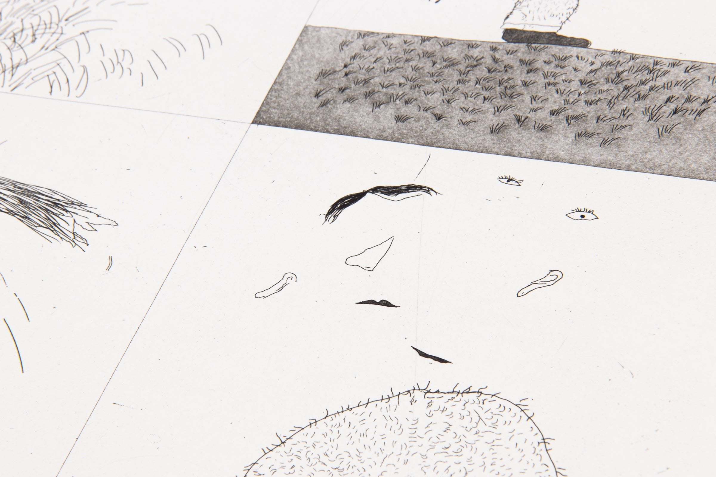 David Hockney – He Tore Himself To Pieces