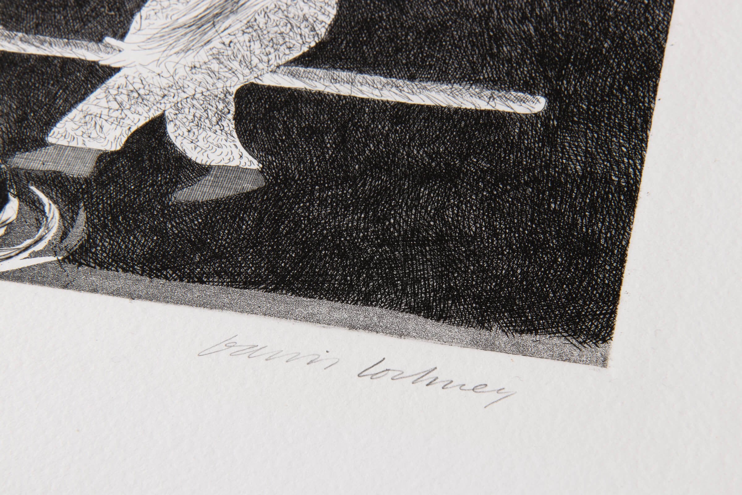 David Hockney - Riding Around on a Cooking Spoon