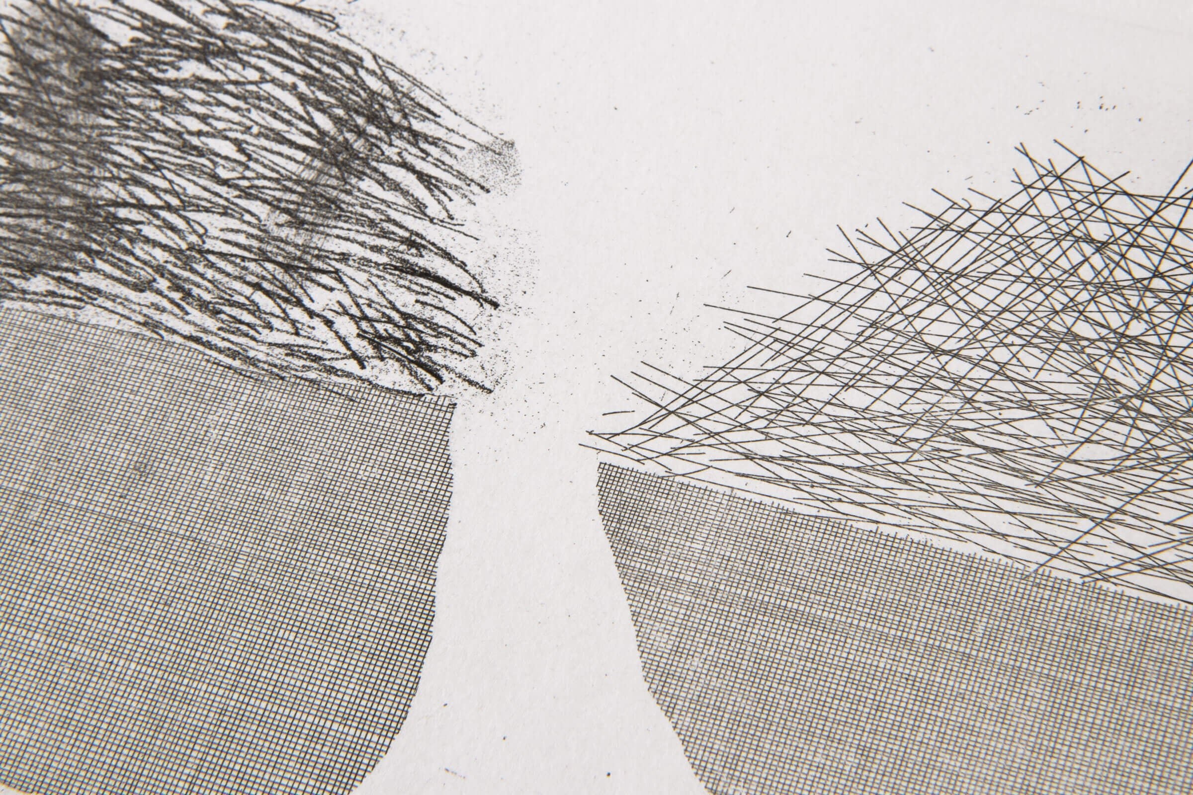 David Hockney – Straw on the Left, Gold on the Right