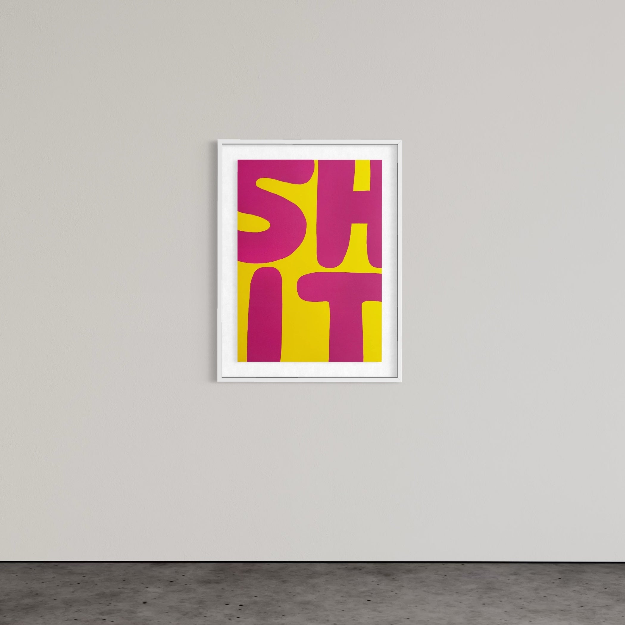 David Shrigley – Everyone Likes Colourful Shit