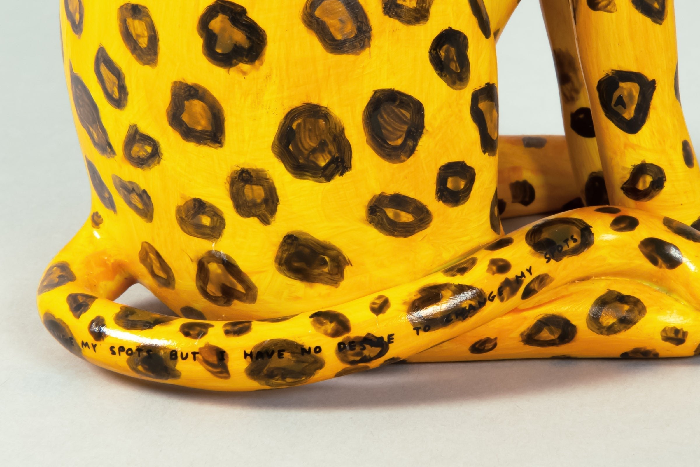 David Shrigley - I Cannot Change my Spots