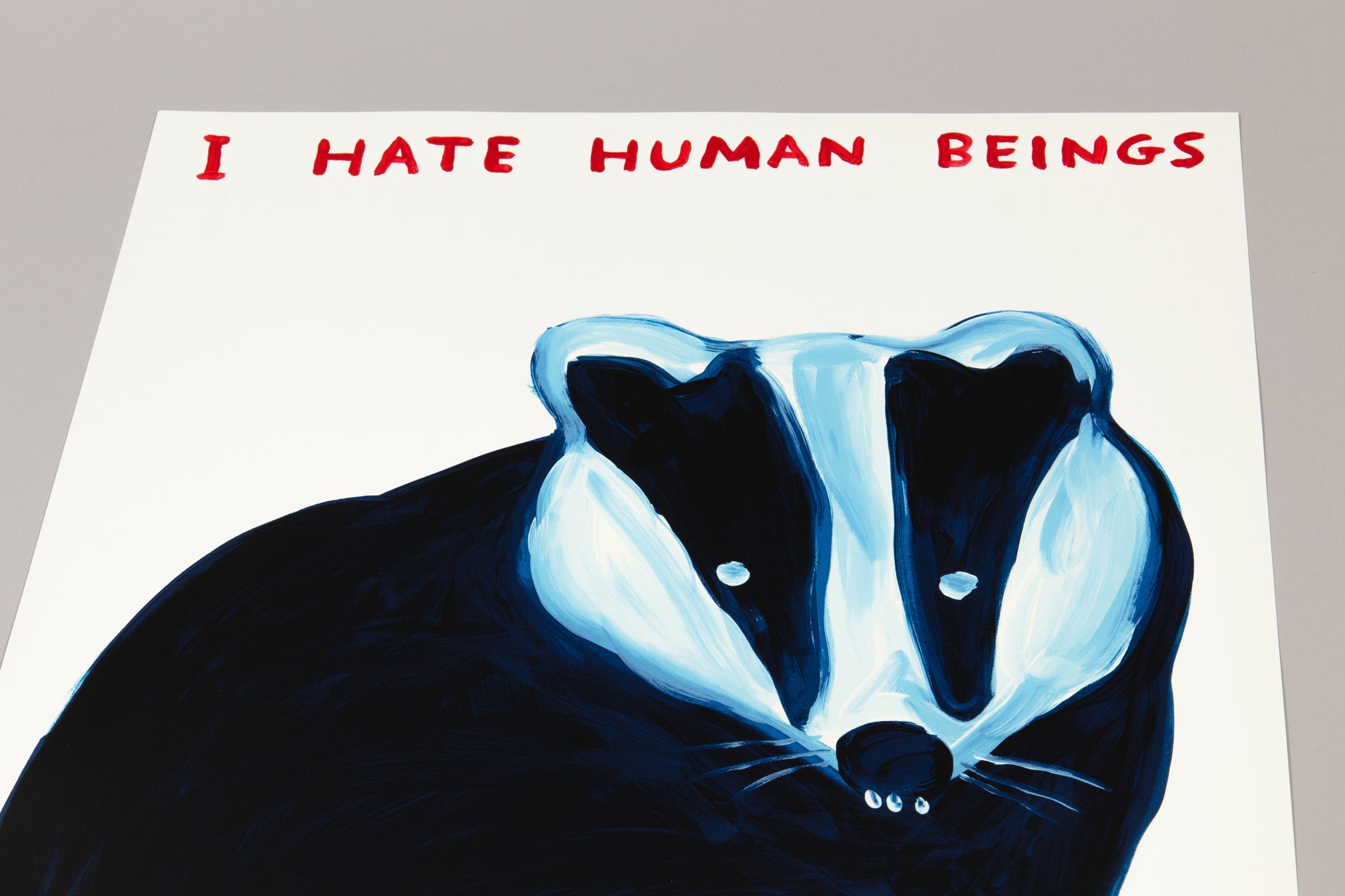 David Shrigley - I Hate Human Beings
