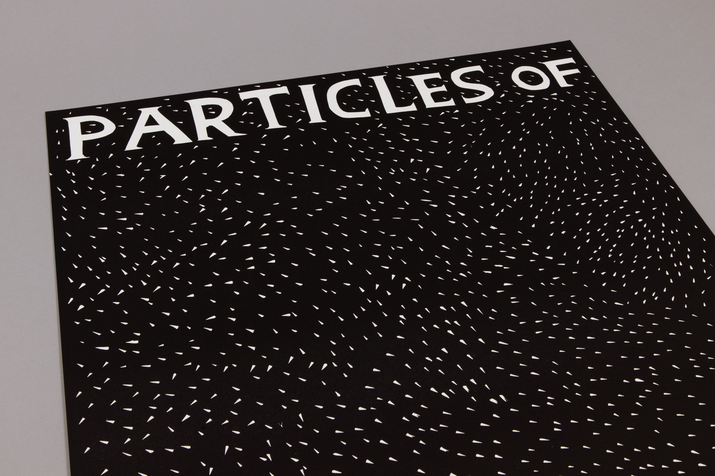 David Shrigley - Particles of Truth