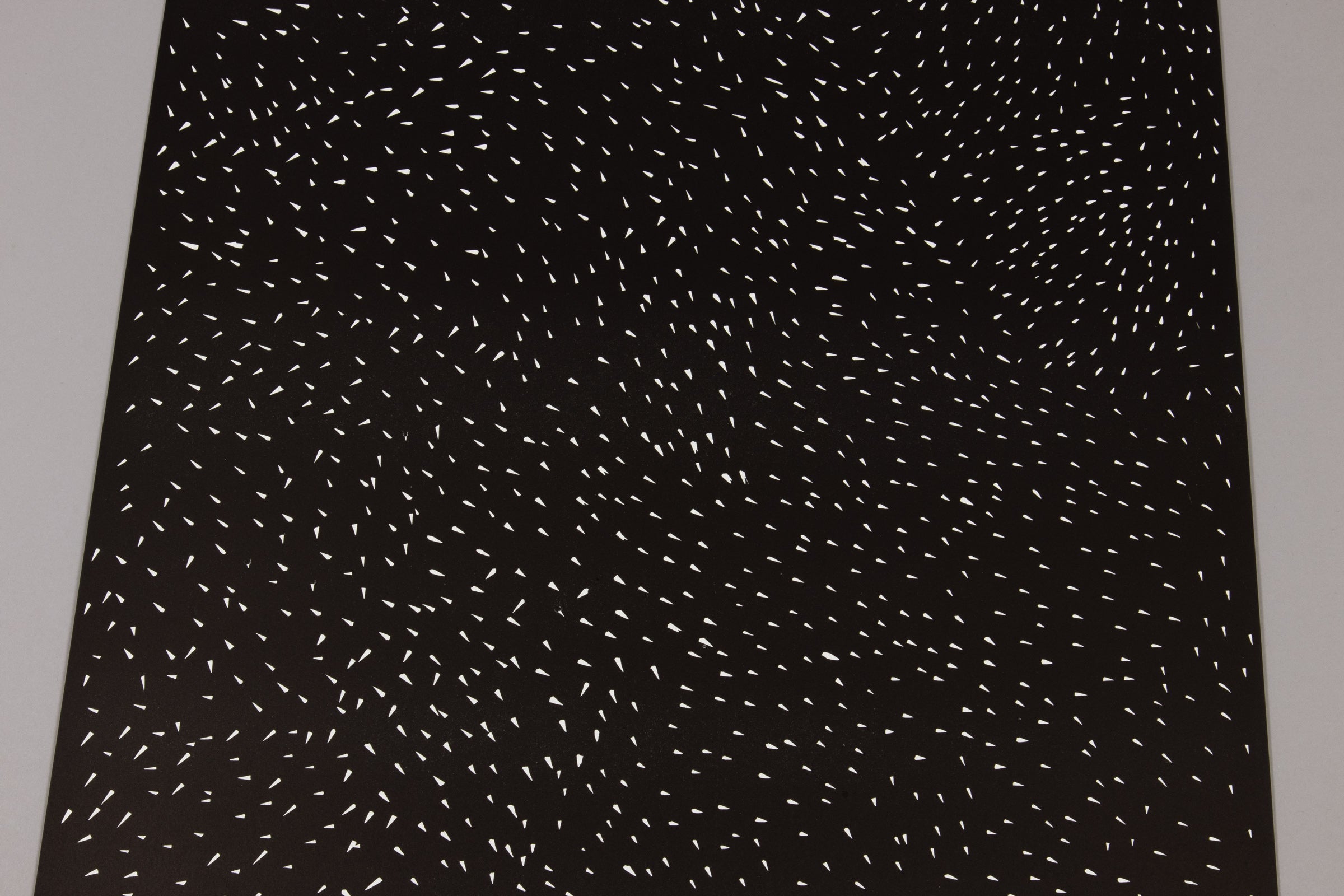 David Shrigley - Particles of Truth