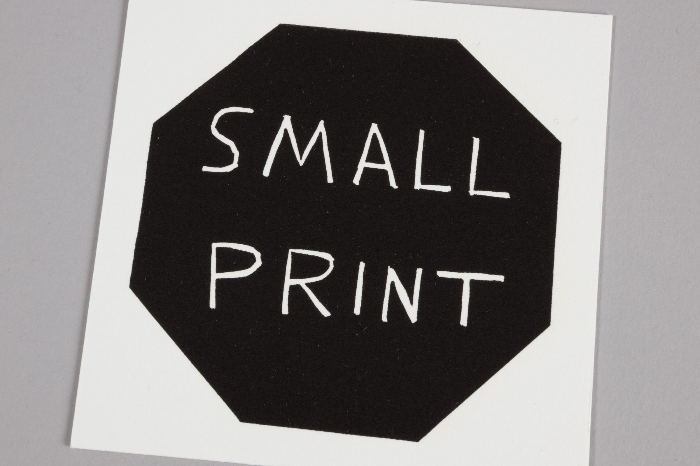 David Shrigley - Small Print