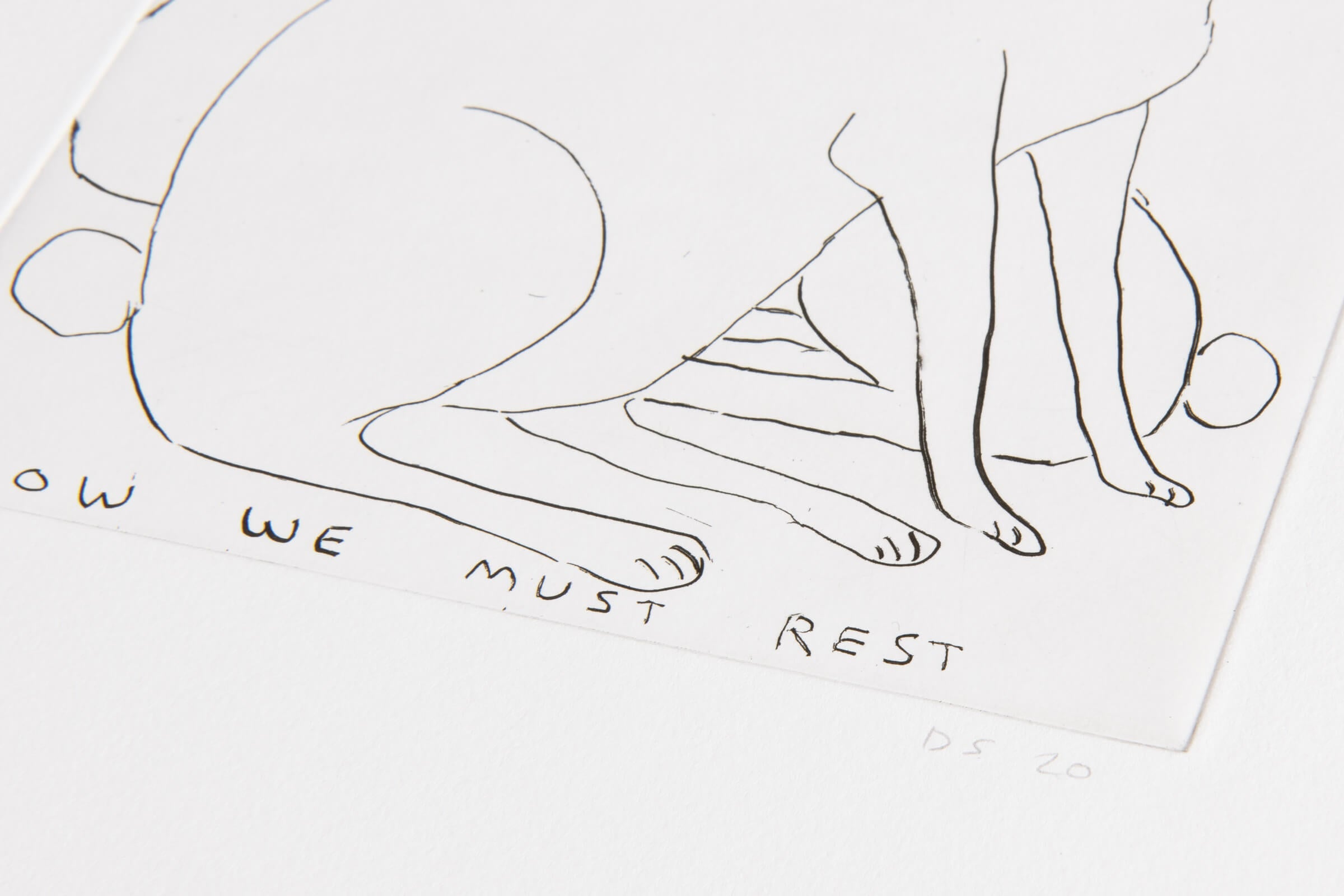 David Shrigley – We Won the Race