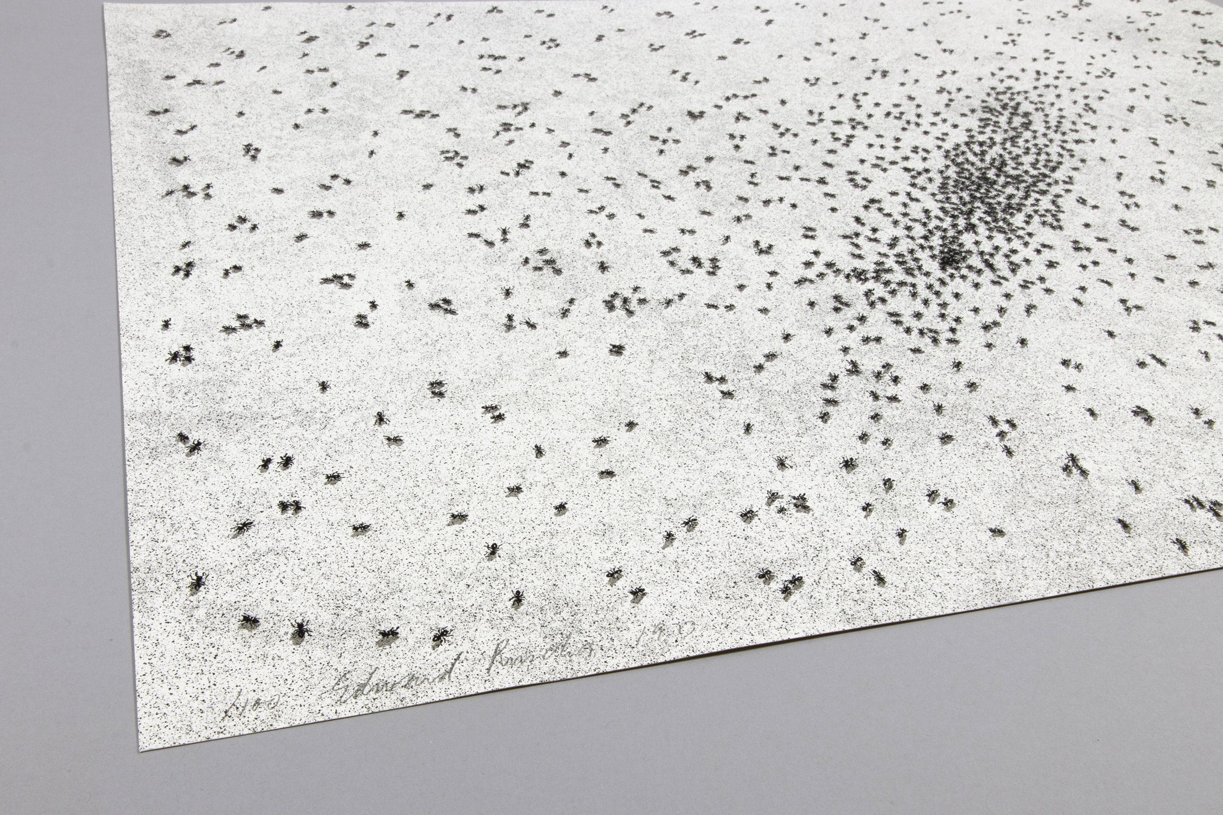 Ed Ruscha - Insect Slant (Ants)