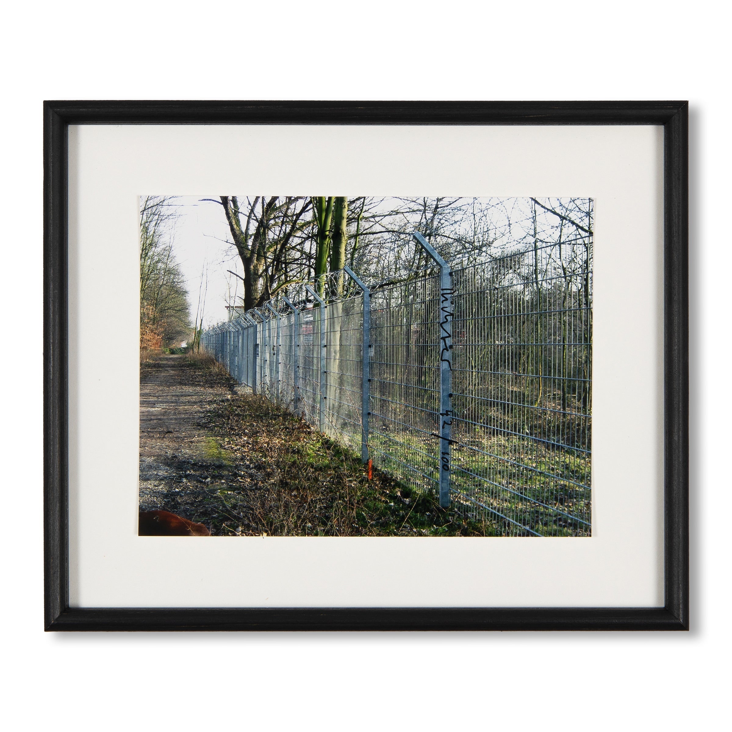 Gerhard Richter – Cage (P19-3) | Art Editions