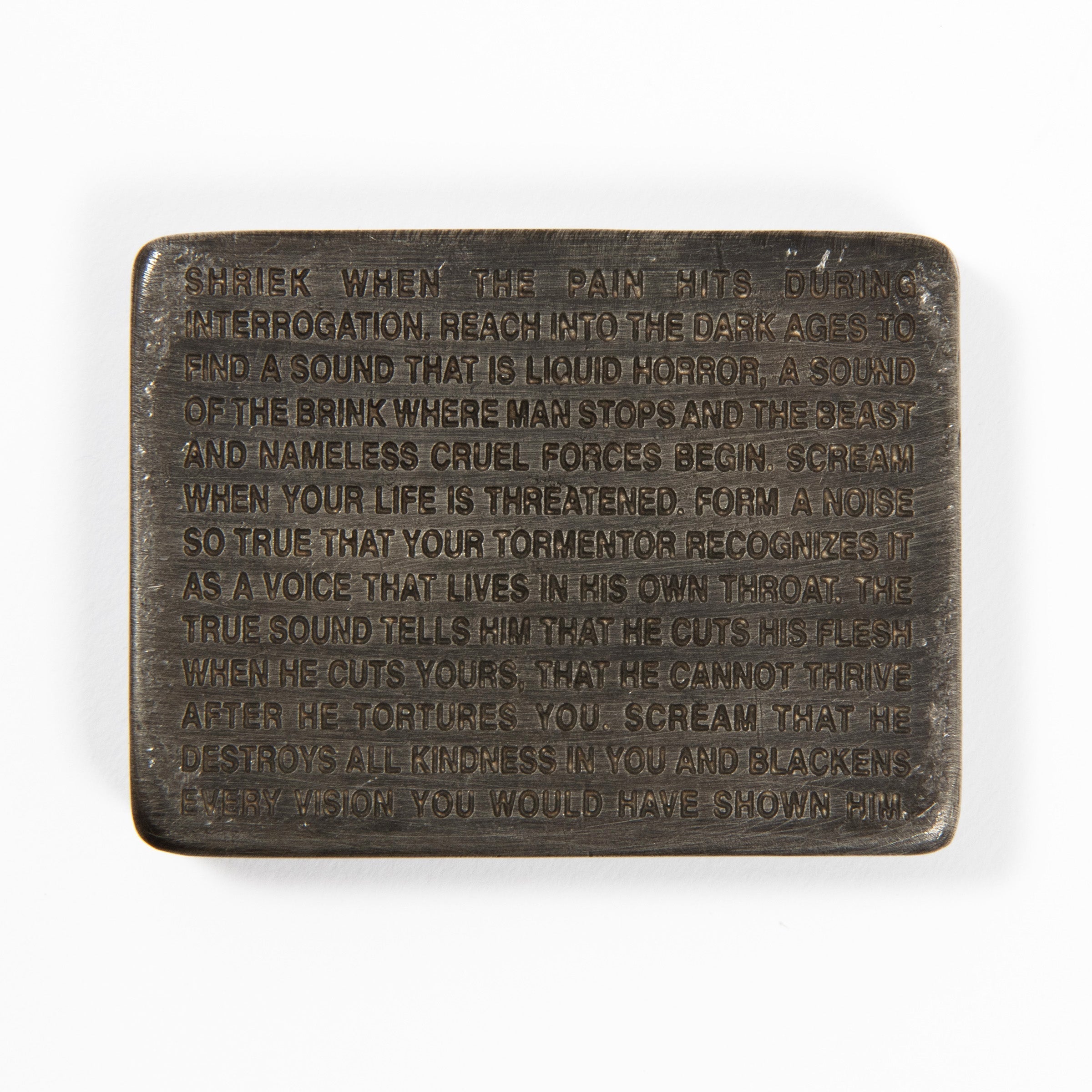 Jenny Holzer - Inflammatory Essays: Shriek When the Pain Hits During Interrogation