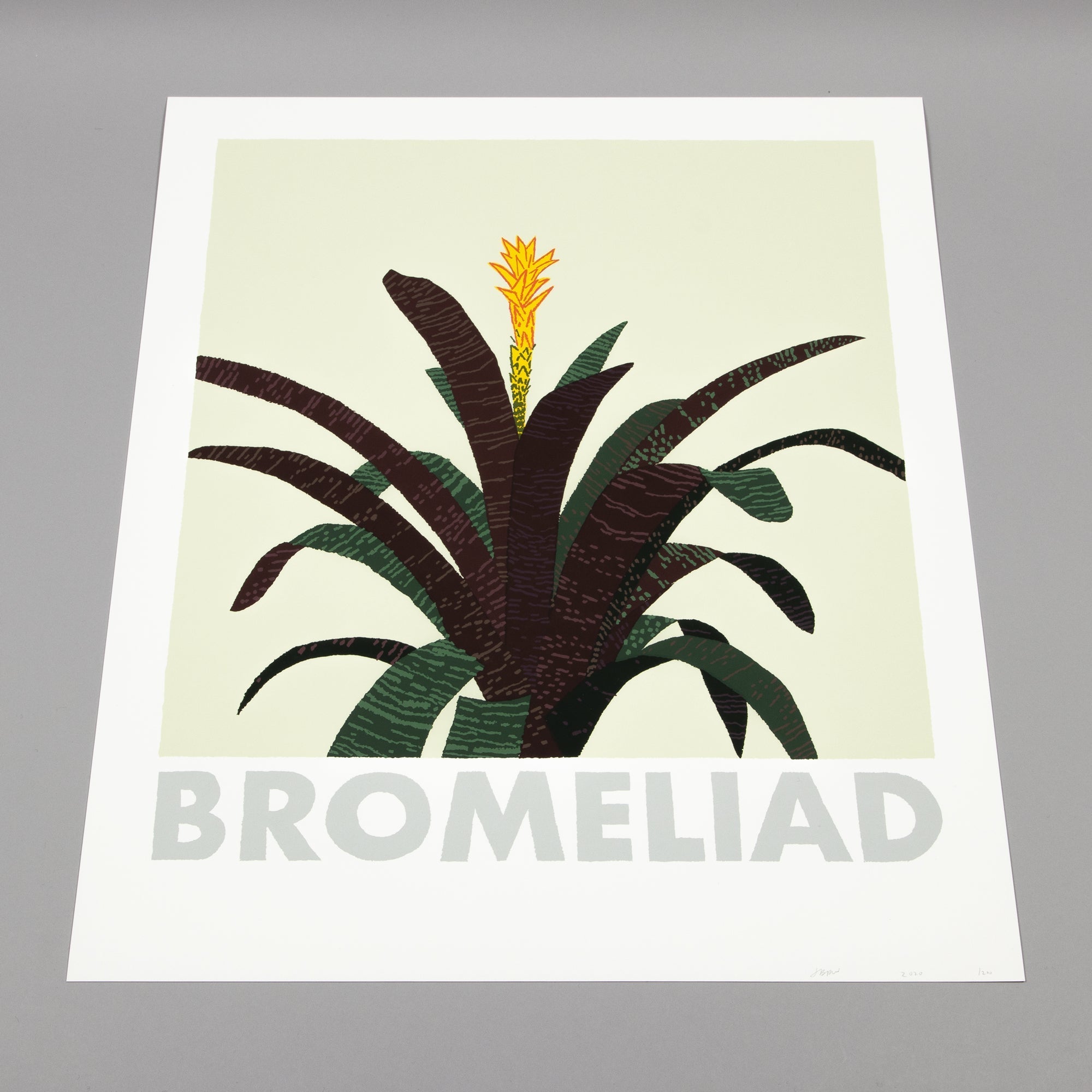 Jonas Wood - Bromeliad