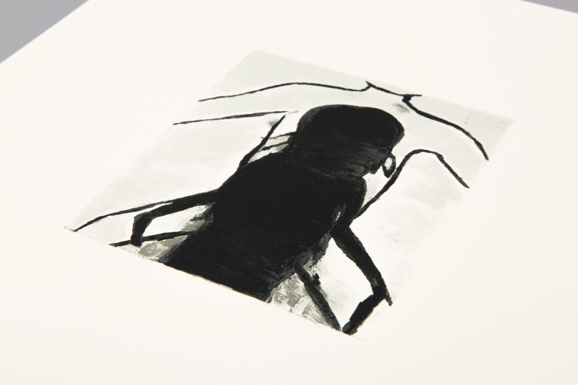 Luc Tuymans 新版 改訂・拡張版　画集　美品 Luc Tuymans (Phaidon Contemporary Artist Series): Loock, Ulrich