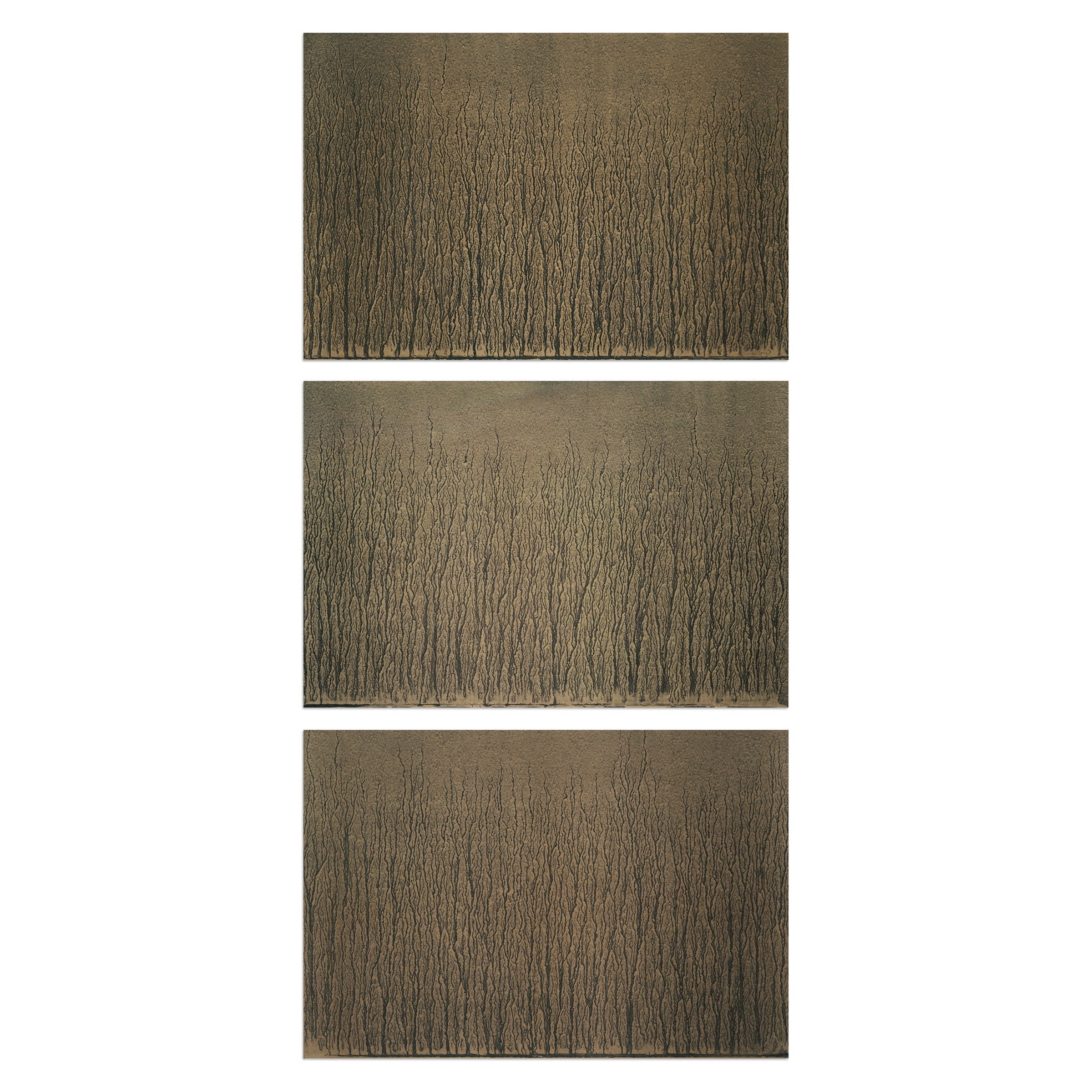 Richard Long - River Avon Mud Drawings (1989)