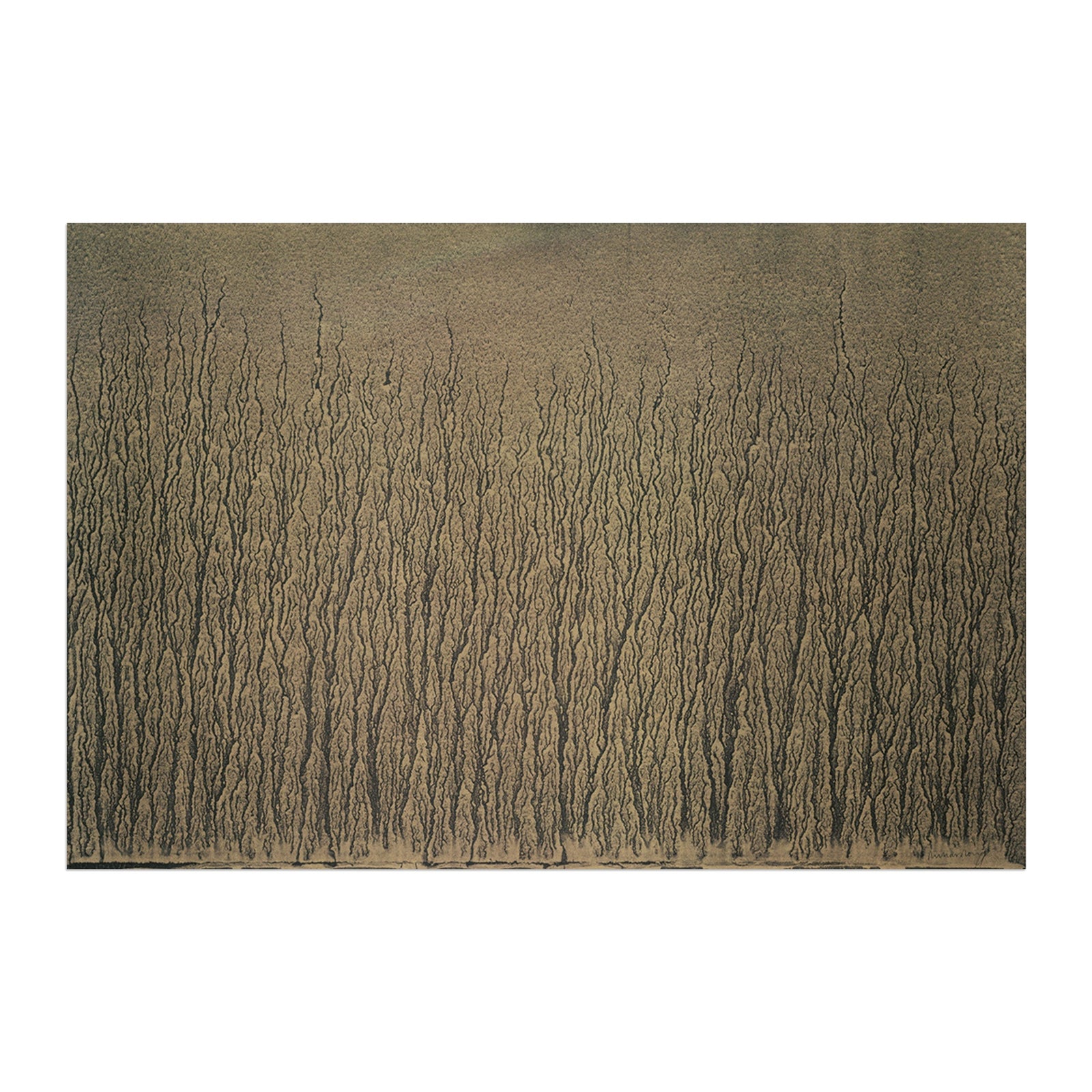 Richard Long - River Avon Mud Drawings (1989)