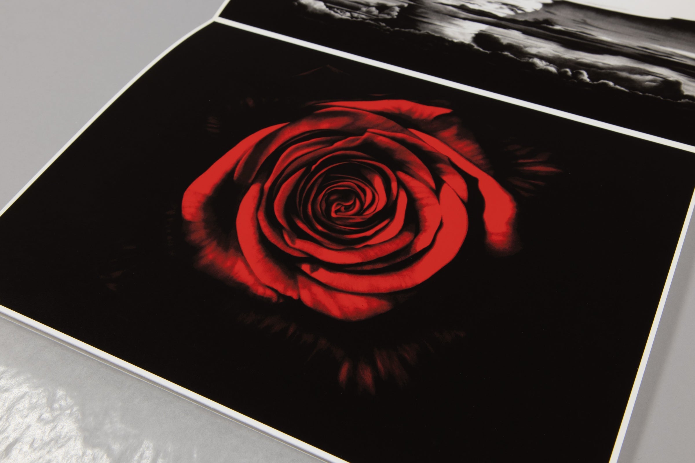 Robert Longo – Essentials