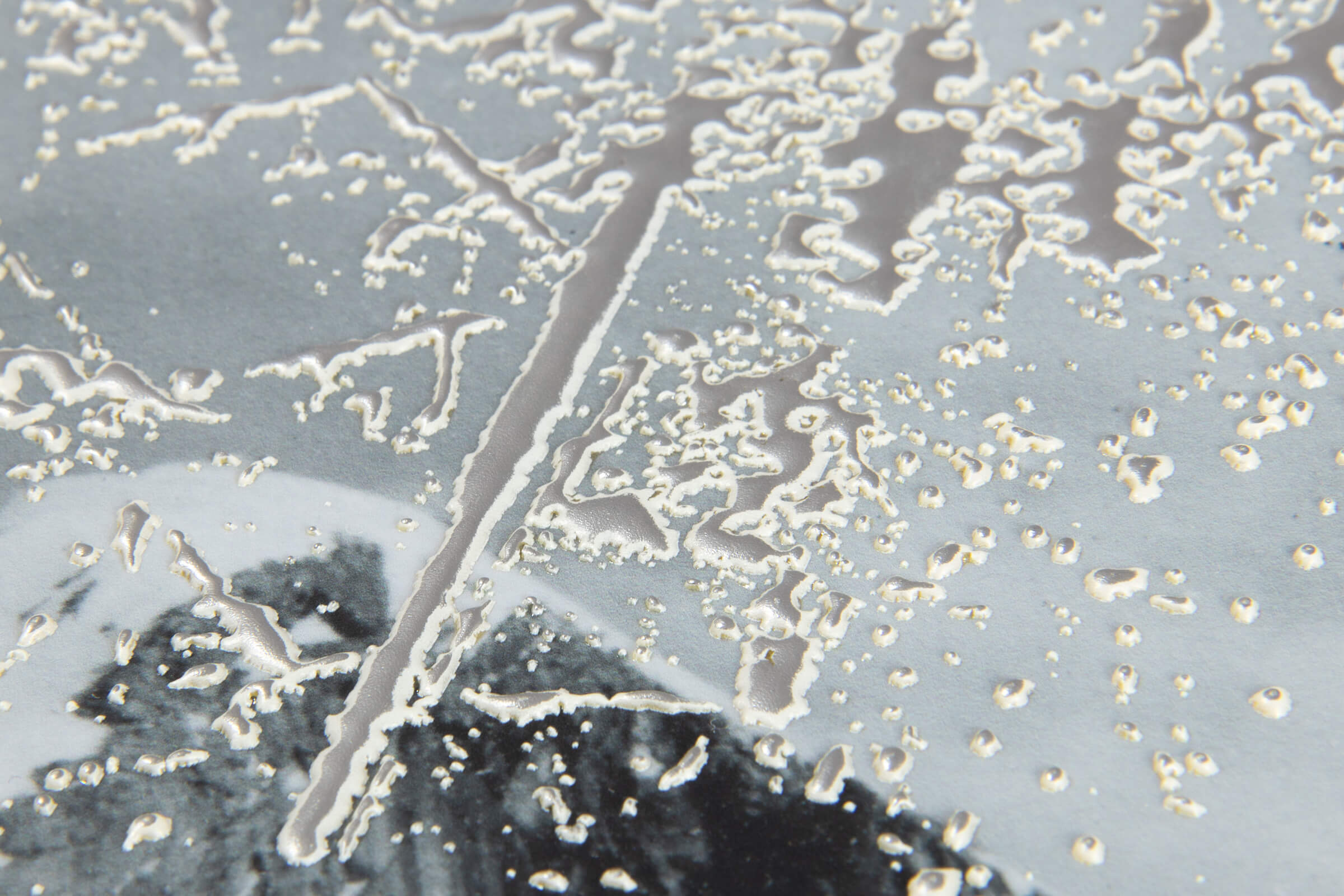 Rudolf Stingel – Untitled