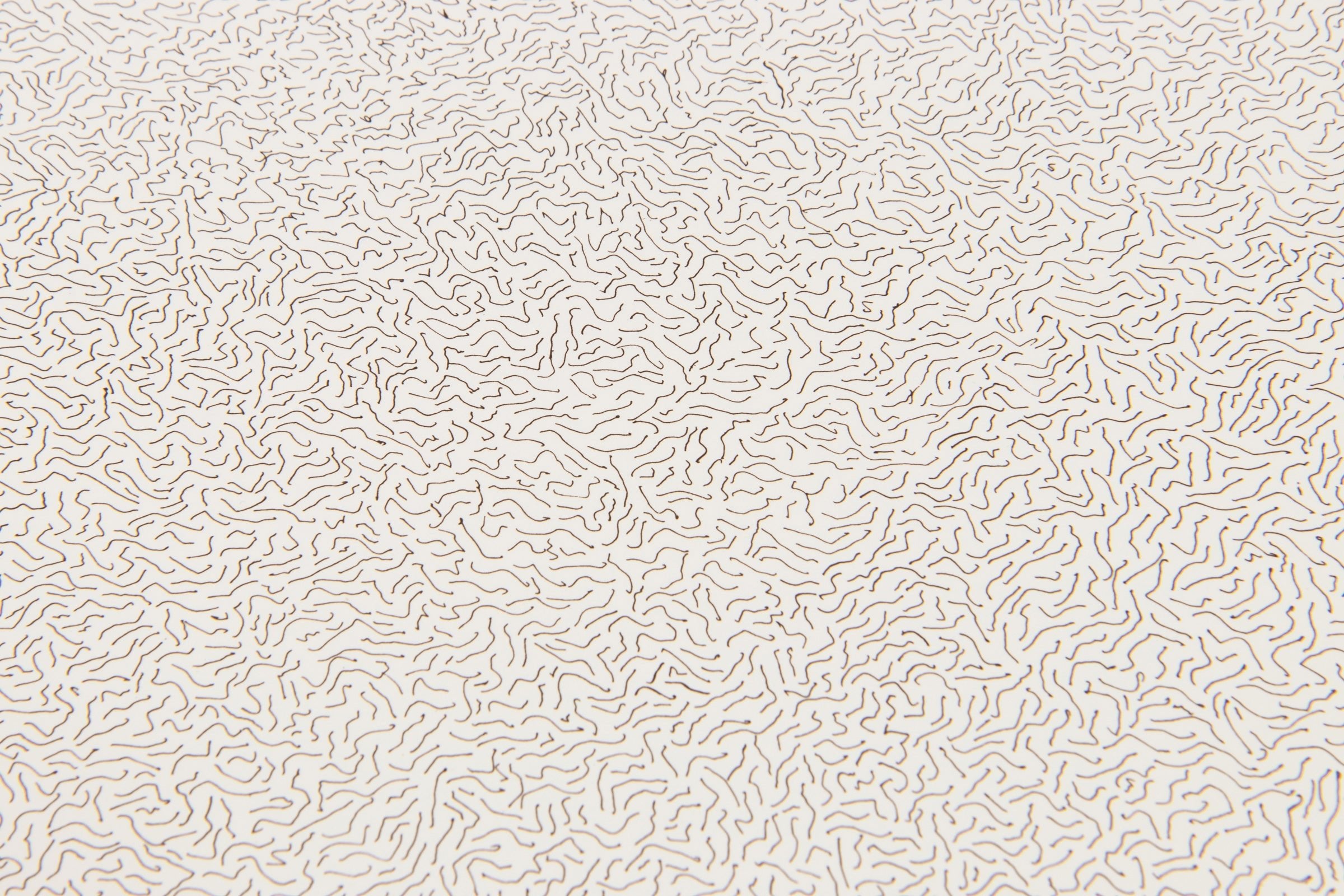 Sol LeWitt - Lines, Not Long, Not Heavy, Not Touching, Drawn at Random (Circle)