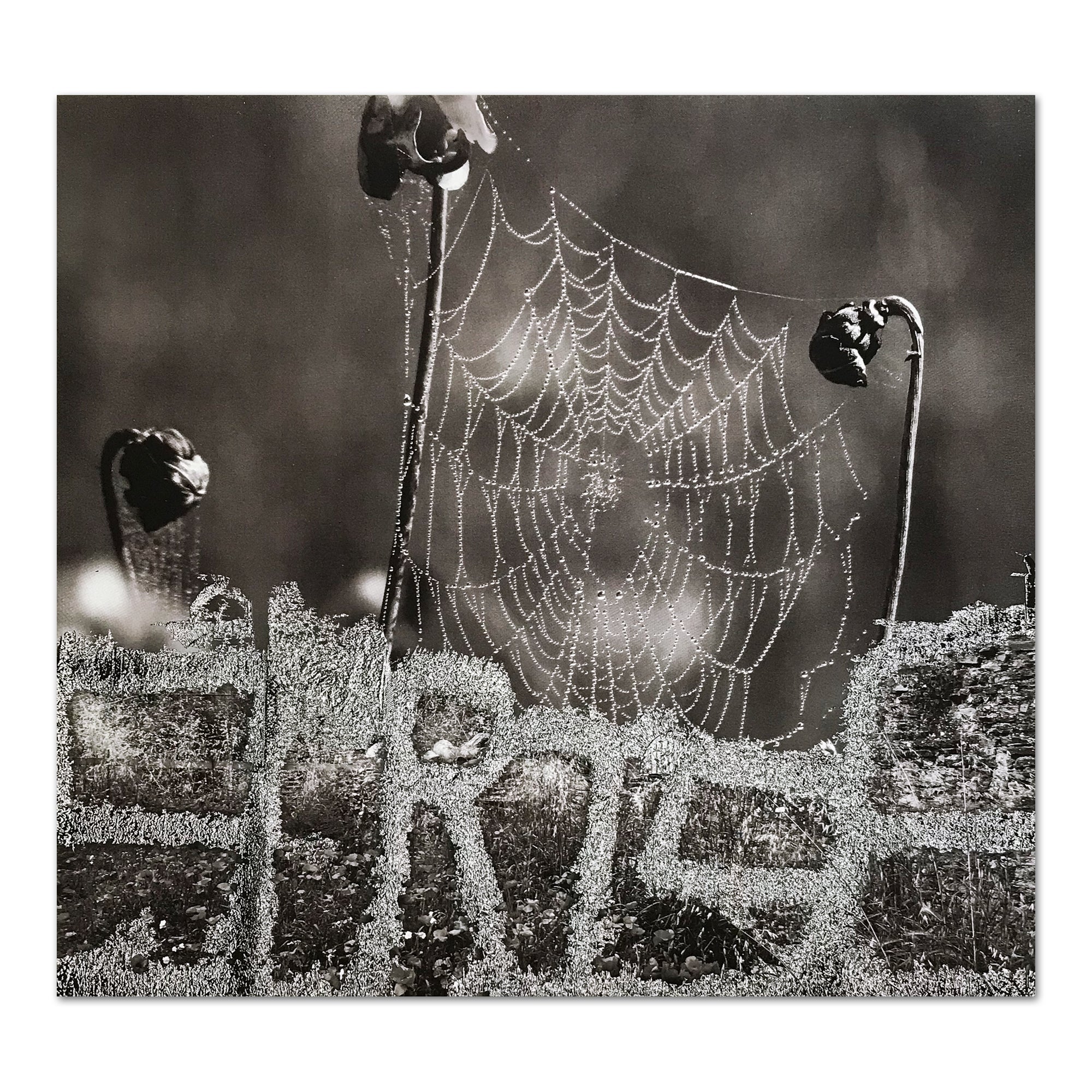 Sterling Ruby – Sunrise