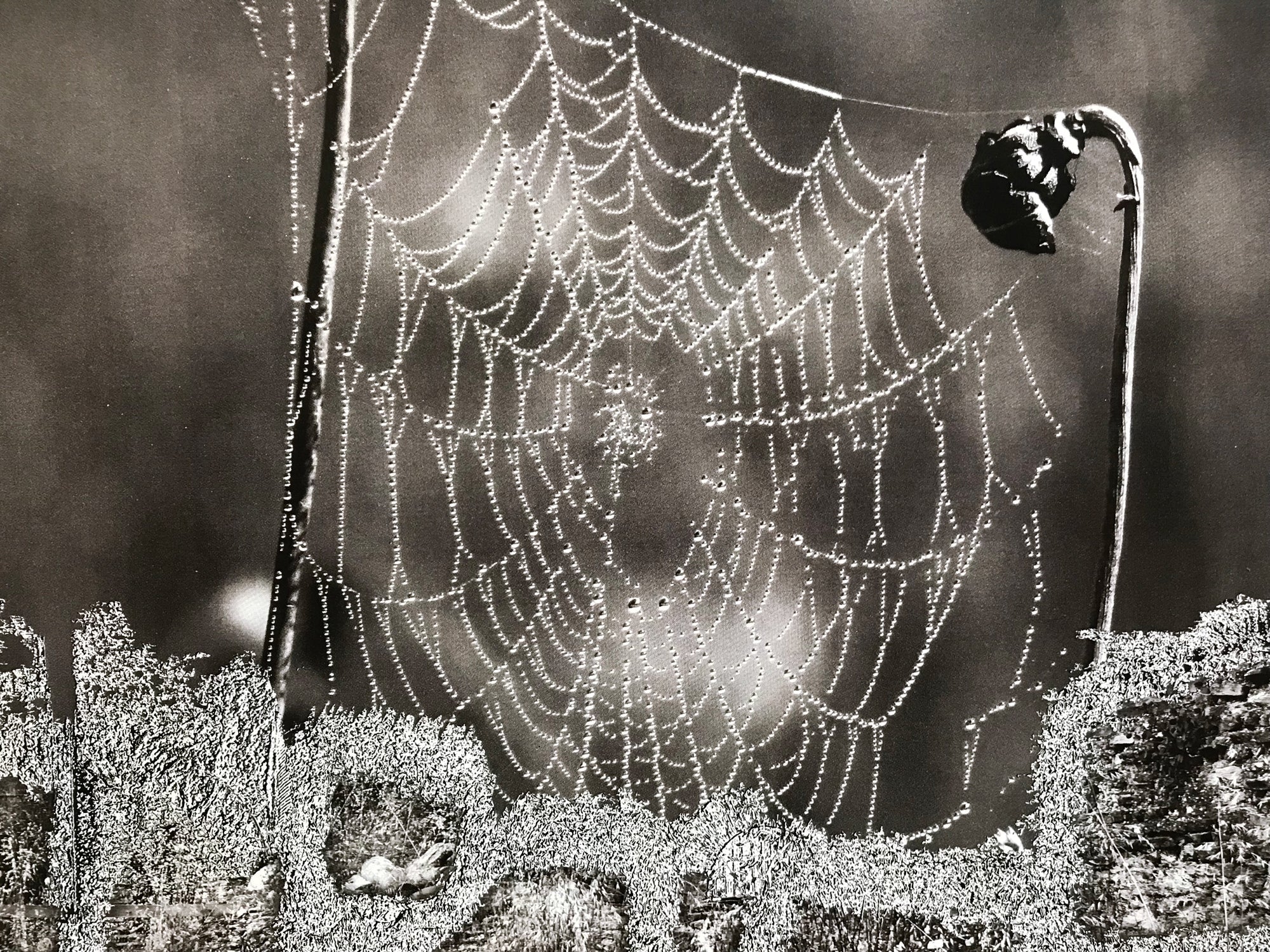 Sterling Ruby – Sunrise