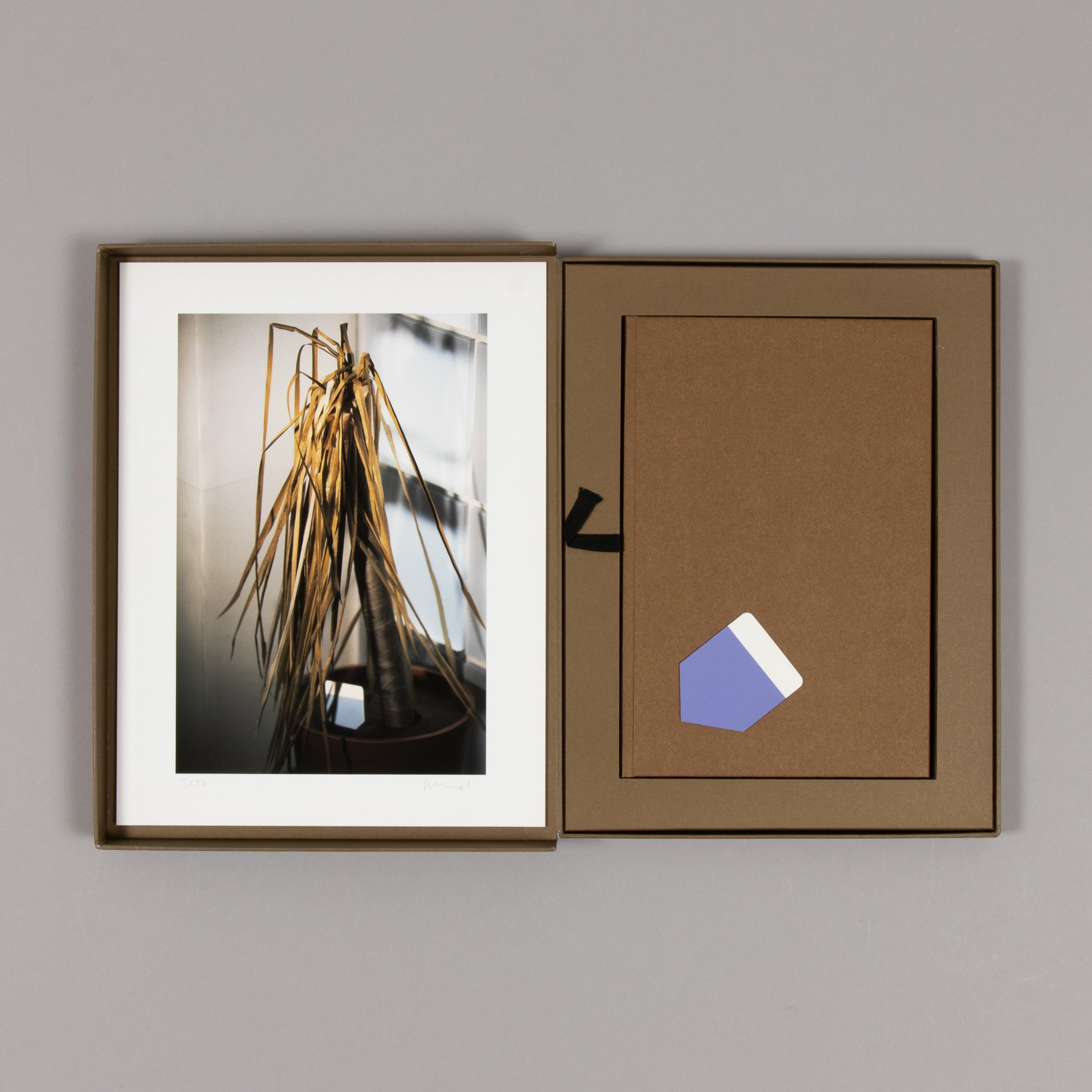 Thomas Demand – Klause (Scheinprobleme in der Philosophie)