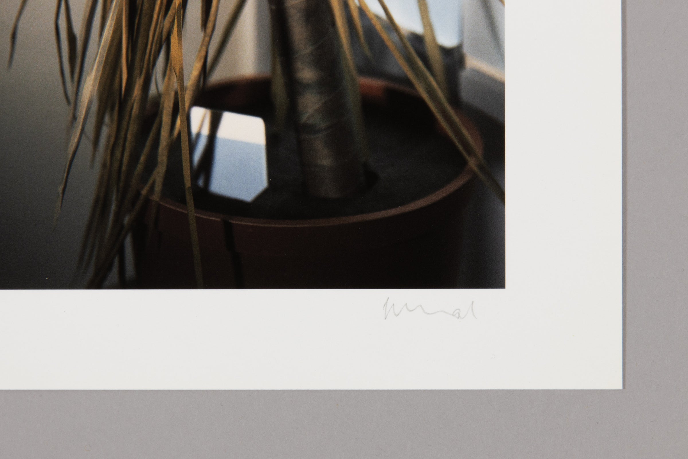 Thomas Demand – Klause (Scheinprobleme in der Philosophie)